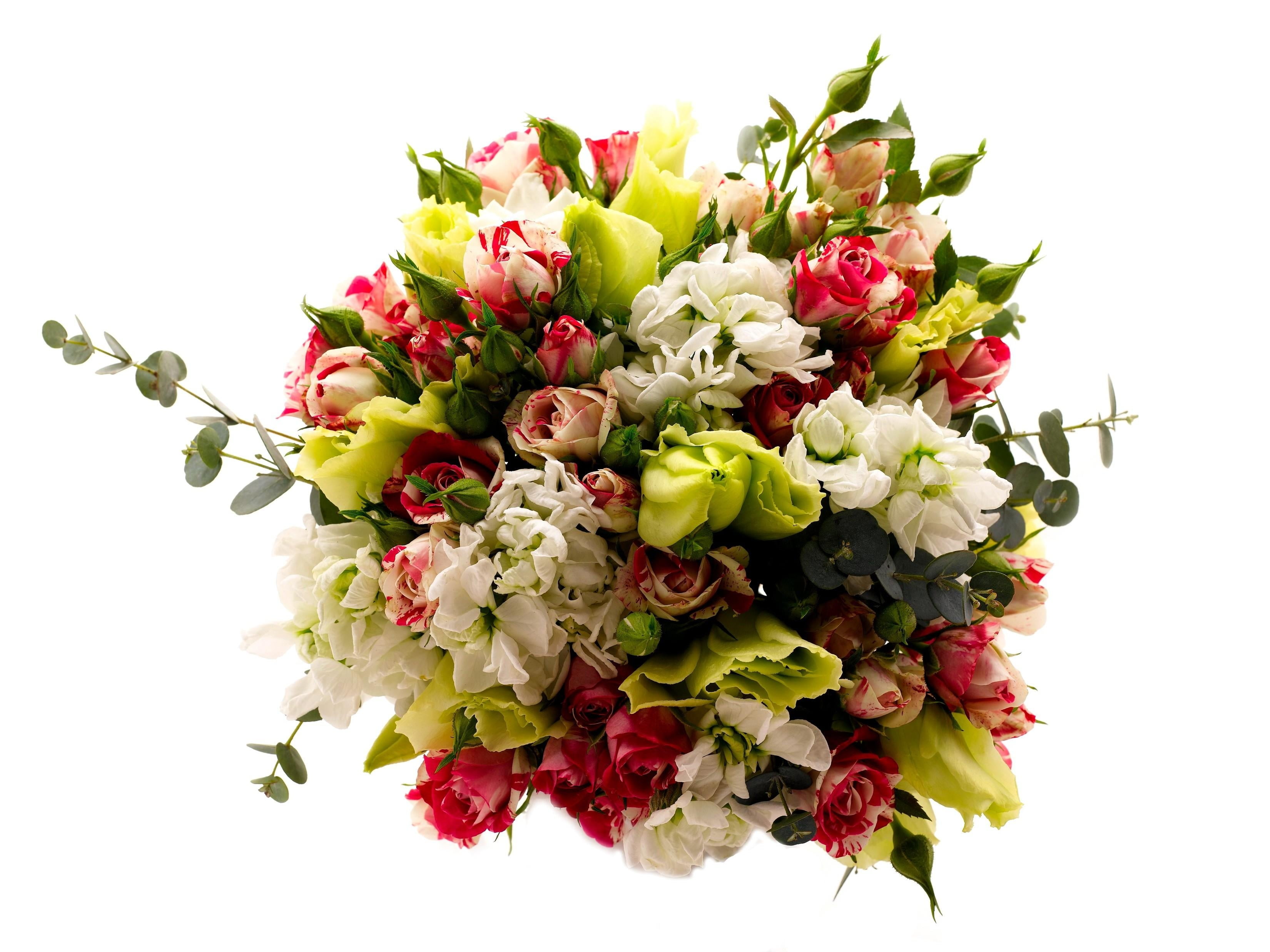 indoors, flowering plant, cut out, bunch, wedding, isolated, cut Flowers, petal, anniversary, backgrounds, white, freshness, love, high angle view, close-up, HD Wallpaper