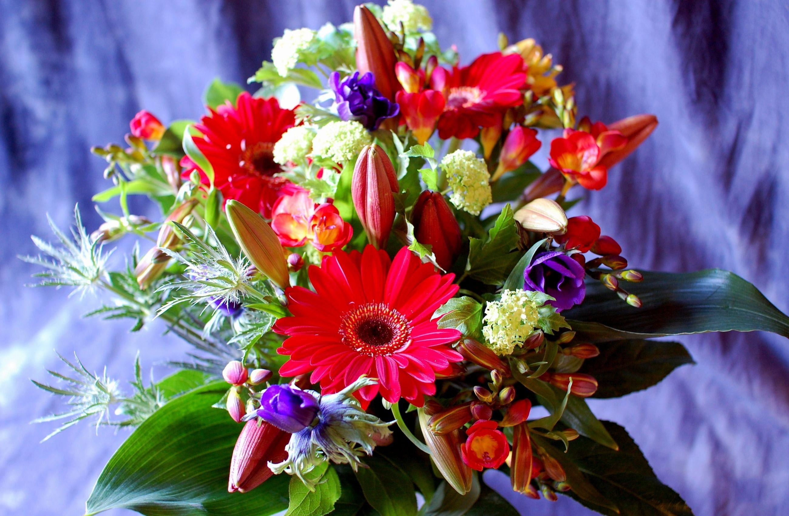 rose - Flower, gerberas, decoration, day, petal, plant, yellow, multi Colored, bride, bouquet, nature, lilies, beauty, green Color, flowers, red, flowering plant, HD Wallpaper