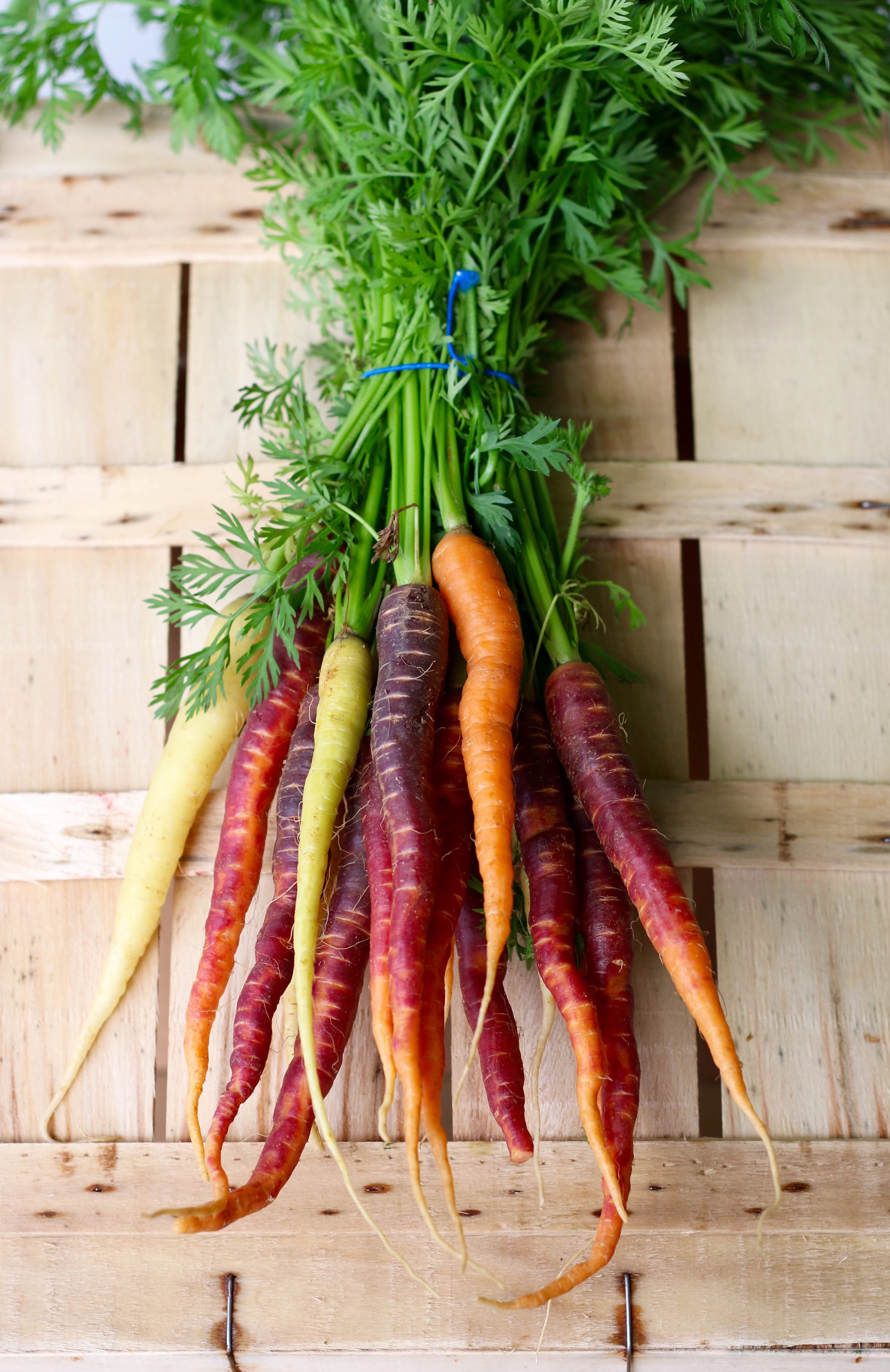 lot, vegetable, common beet, carrots, high angle view, 5K, directly above, food and drink, raw food, wood - material, wood, rustic, root vegetable, table, Phone HD Wallpaper