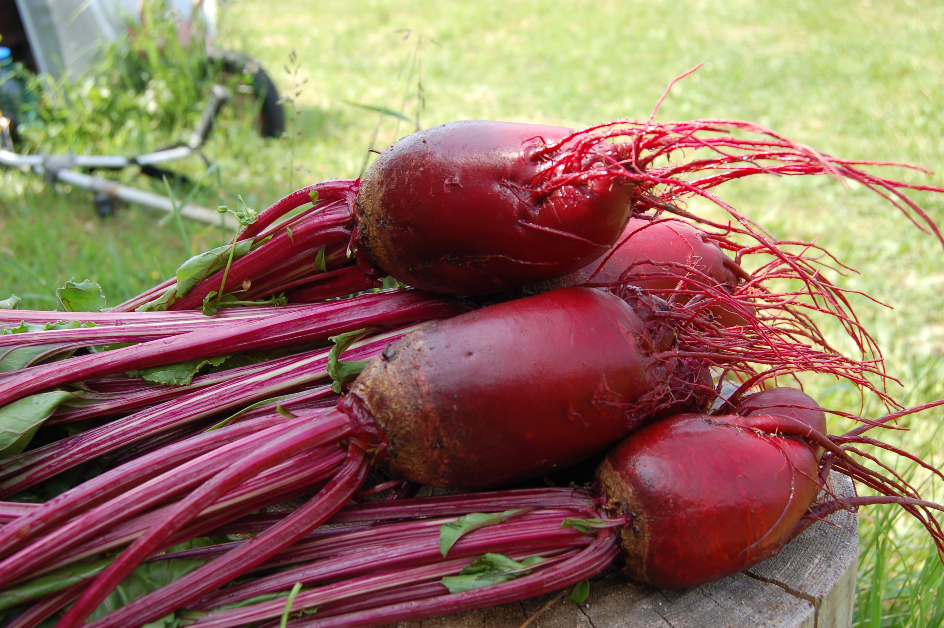 raw food, from the garden, no people, freshness, vegetable, pile, vegetarian food, food and drink, common beet, fruits, organic, healthy eating, wellbeing, HD Wallpaper