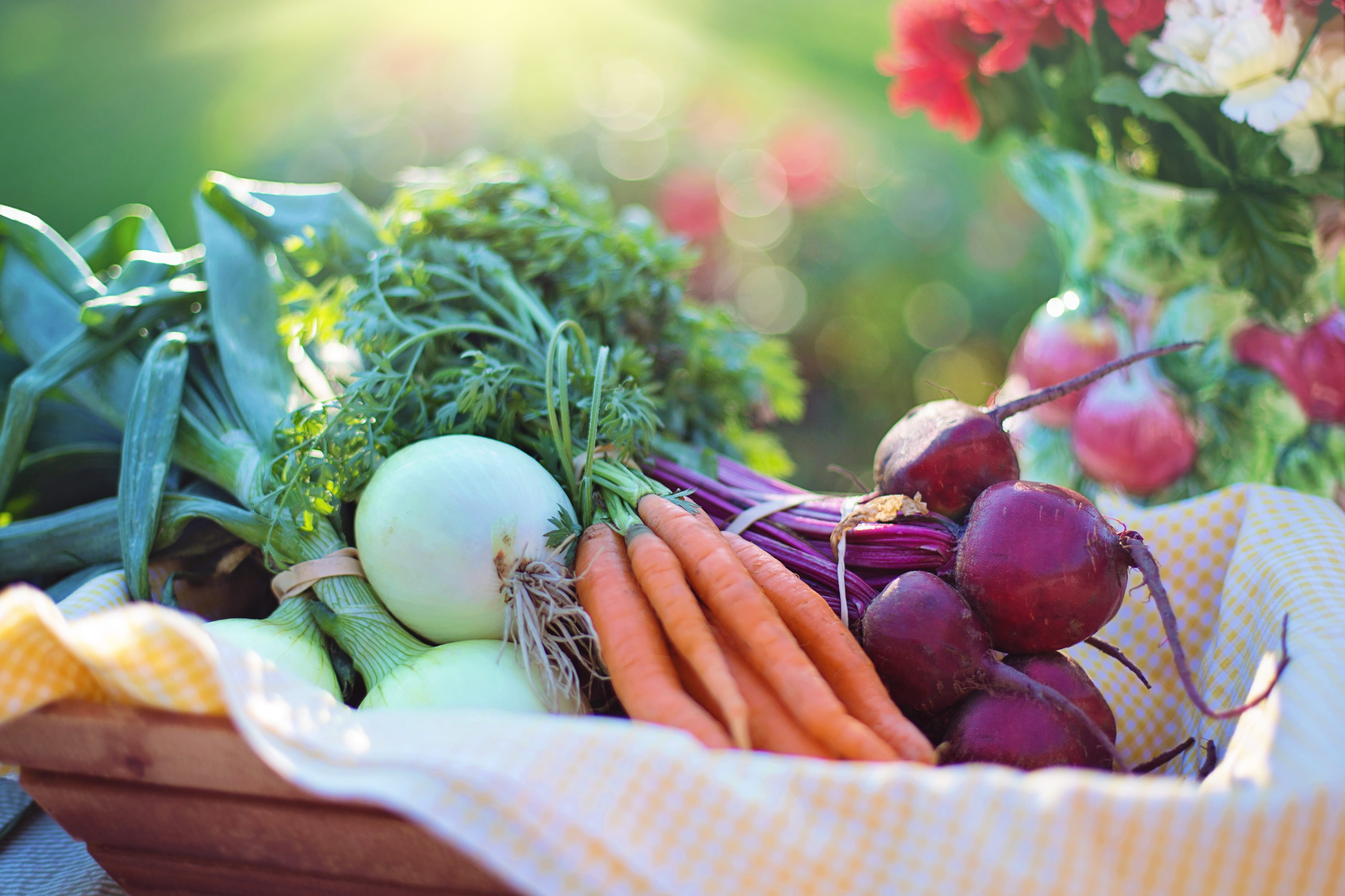 green, healthy eating, easter, Vegetables, Beets, root vegetable, organic, one person, Food, growth, healthy, diet, wellbeing, border, harvest, vegetarian, HD Wallpaper