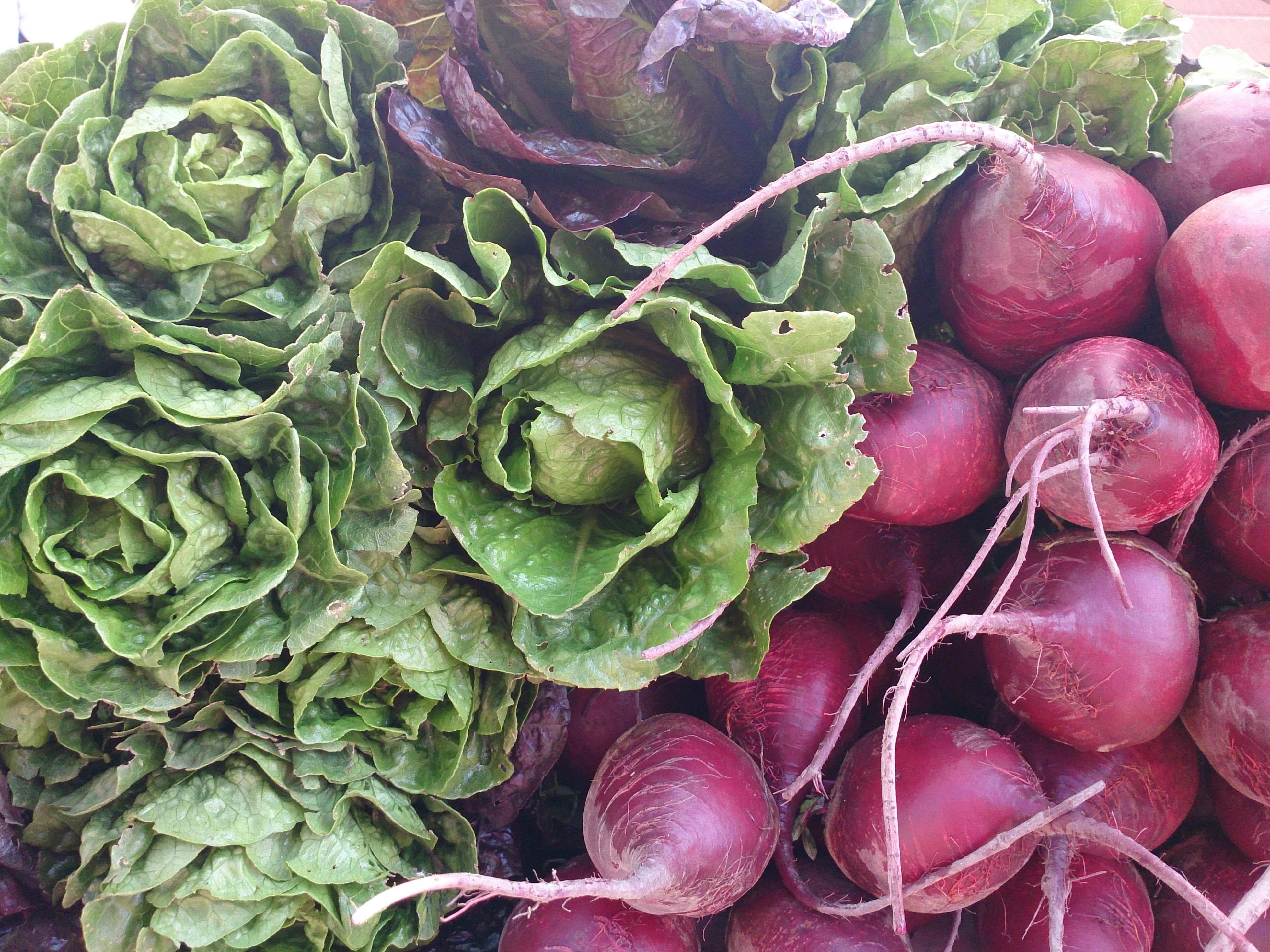retail, market, eating, natural, for sale, variety, 4K, ingredients, close-up, nutrition, wellbeing, produce, raw food, food, farm, full frame, healthy eating, HD Wallpaper