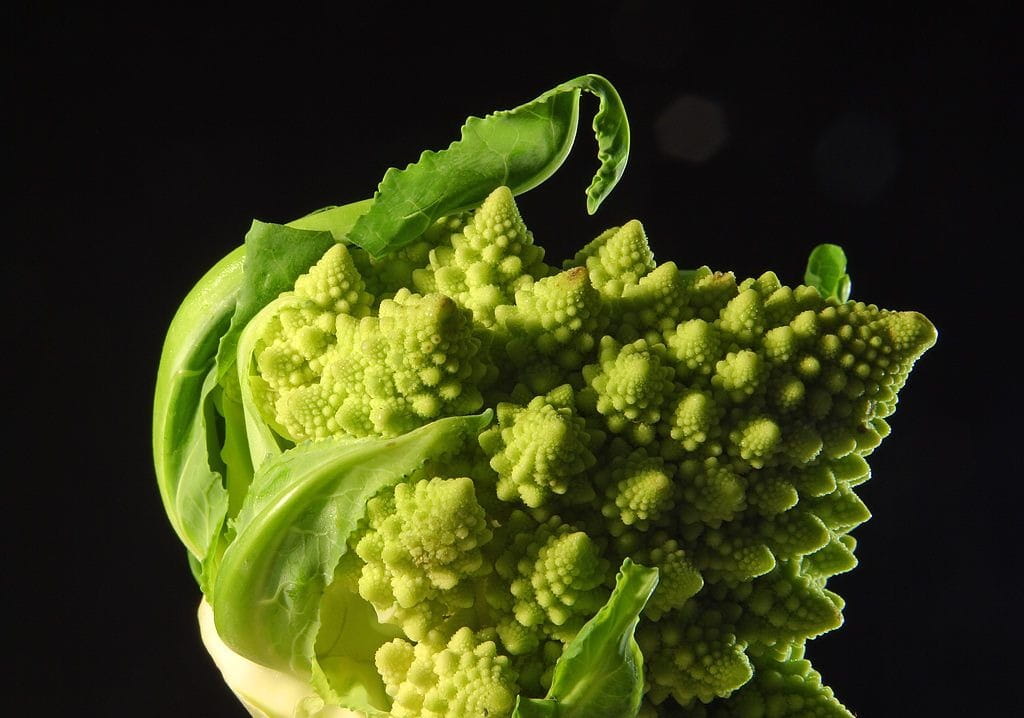 light green, healthy eating, vegetarian food, green, fractal, studio shot, organic, brassica oleracea, cauliflower, food and drink, food, wellbeing, freshness, HD Wallpaper