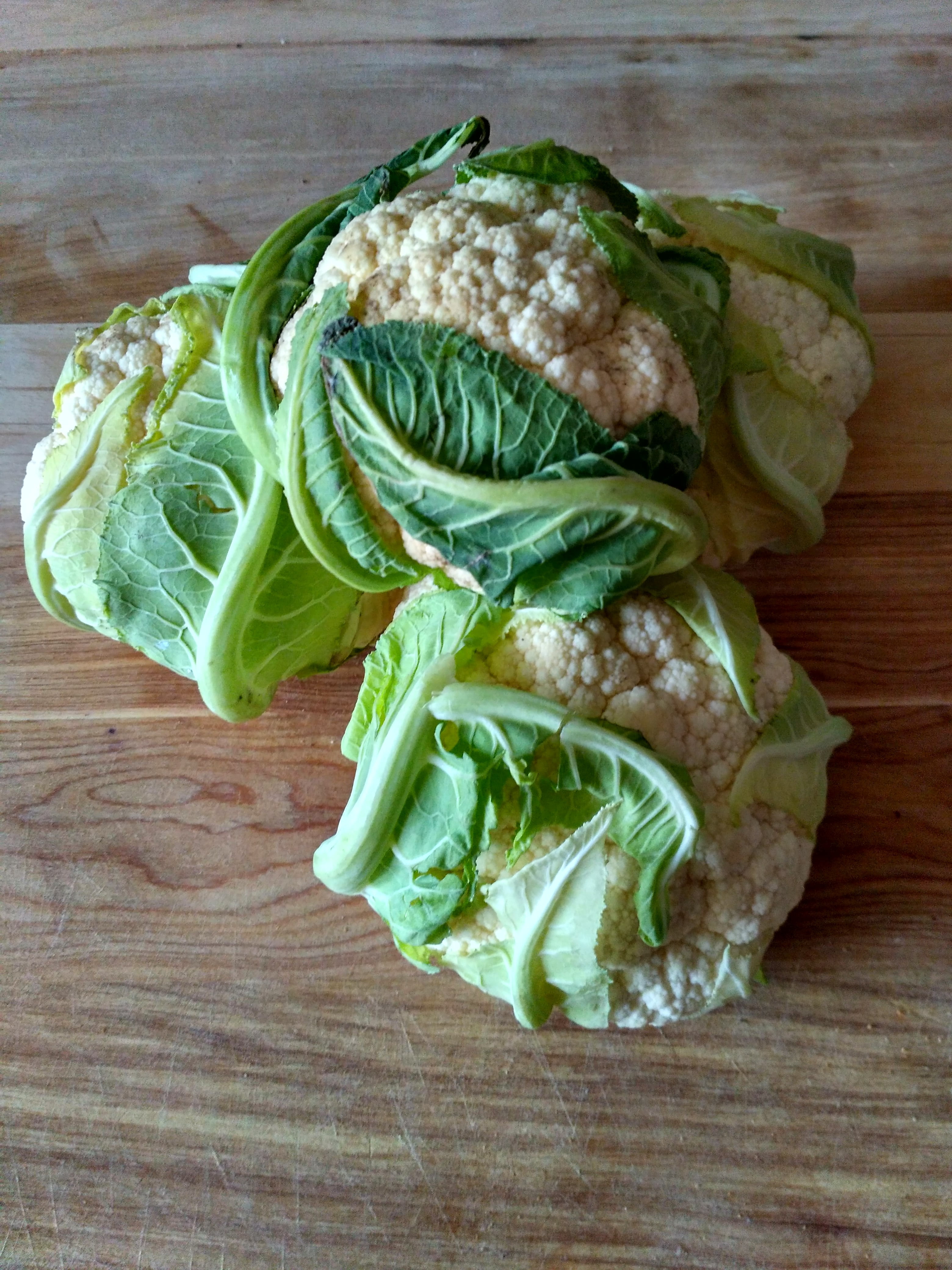 green color, wellbeing, 4K, food, indoors, freshness, organic, leaf vegetable, bread, healthy Eating, ready-to-eat, cauliflowers, no people, sandwich, Phone HD Wallpaper