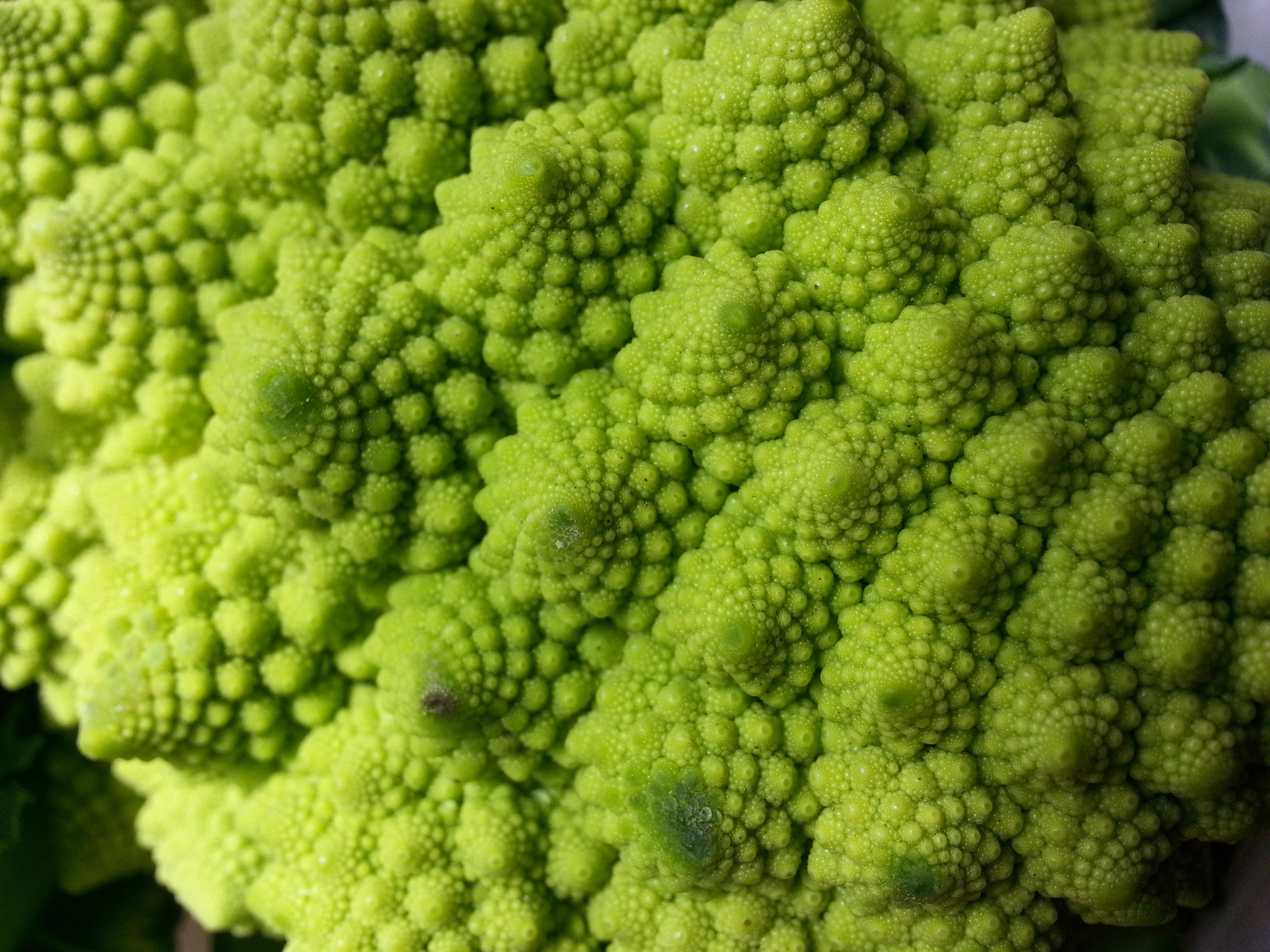 close-up, textured, broccoli, vitamins, healthy eating, root vegetable, green color, backgrounds, romanesco broccoli, 2K, eat, food, raw food, full frame, HD Wallpaper