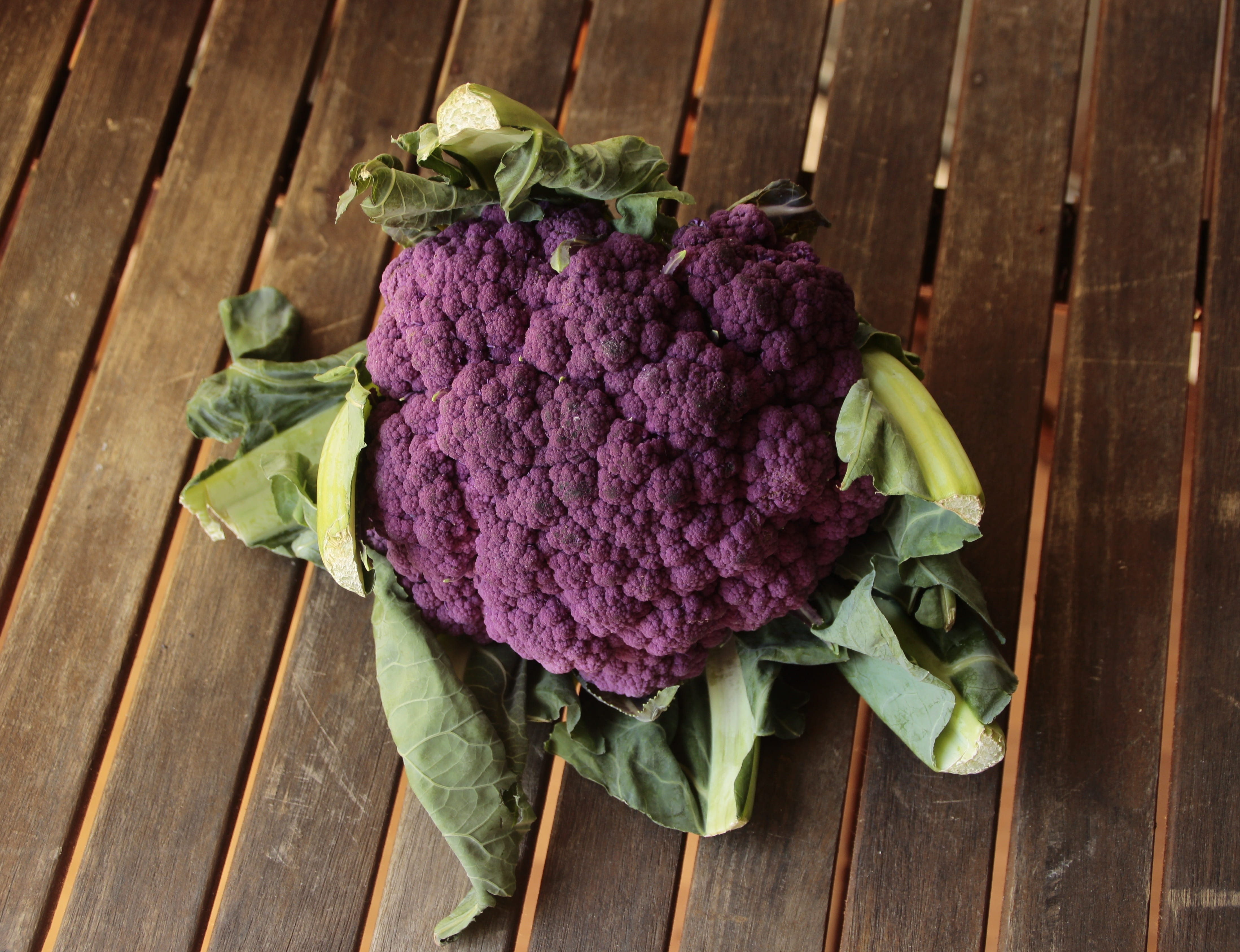 vegetable, summer, dieting, wood - material, raw, permaculture, wellbeing, indoors, directly above, autumn, flower, season, freshness, variety, table, ingredient, HD Wallpaper