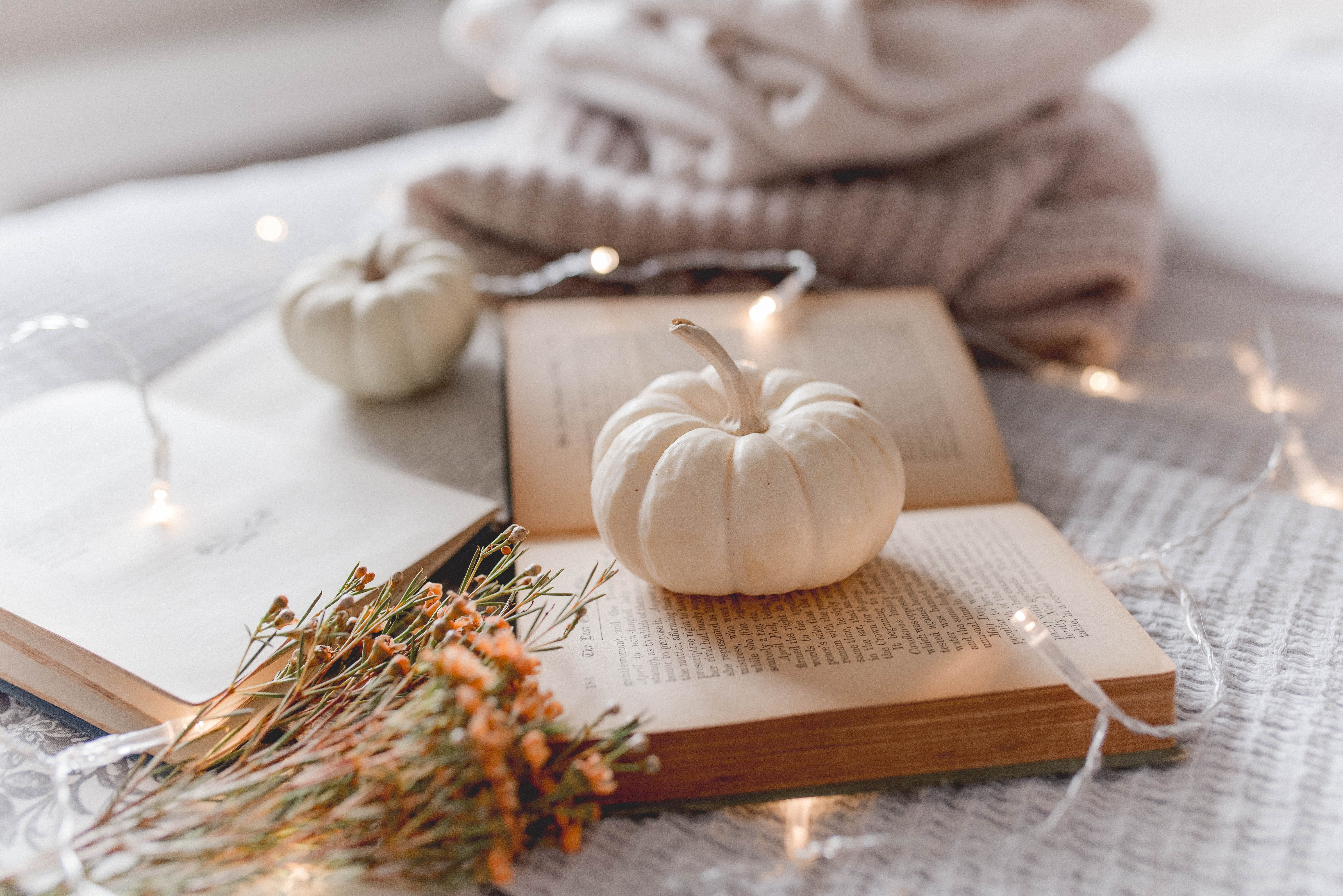 lyfestyle, preparation, wood - material, bulb, textile, indoors, wellbeing, onion, fall decor, 5K, food, no people, open, halloween decor, spice, halloween, HD Wallpaper