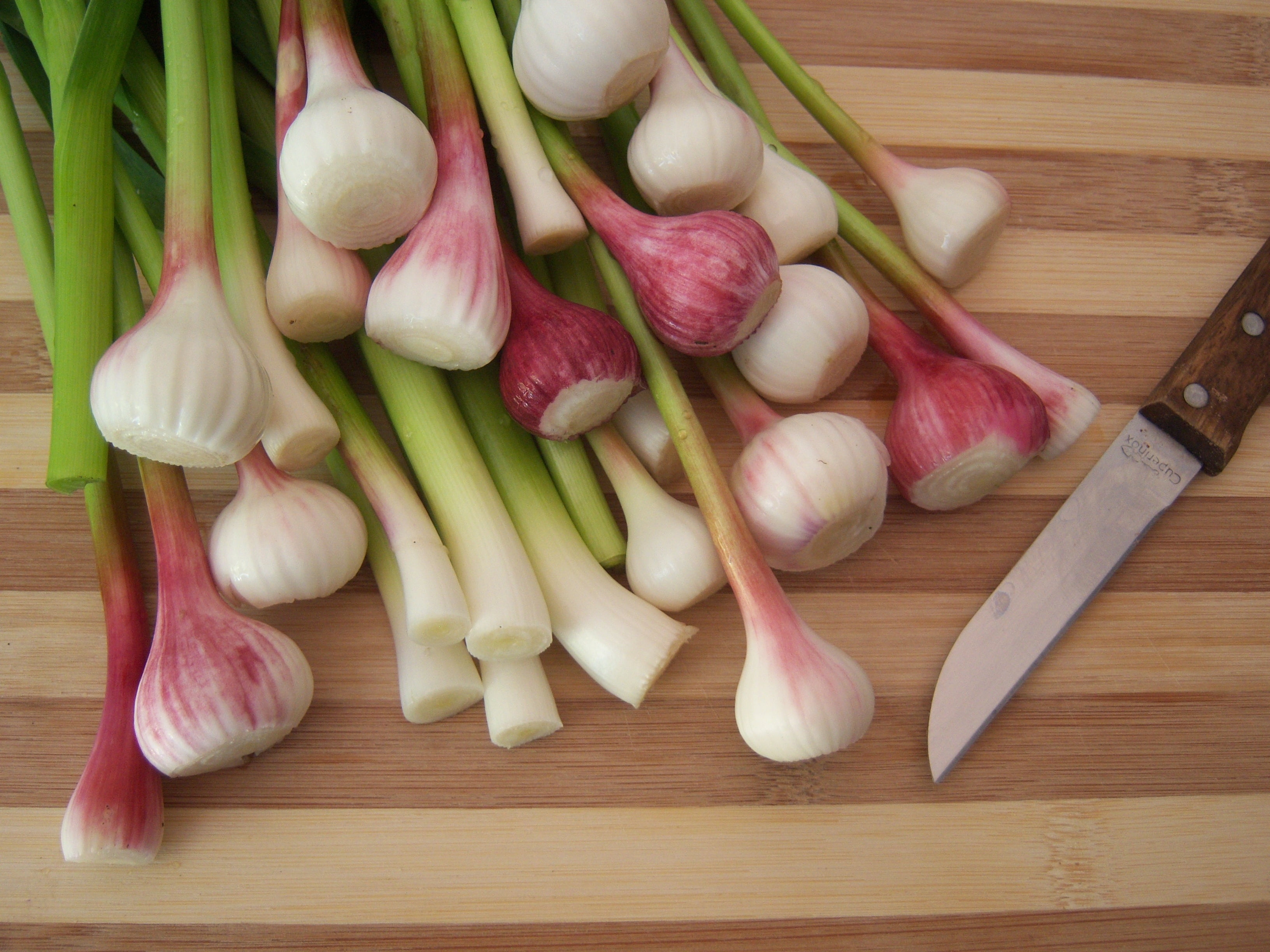 food And Drink, high angle view, green Color, 2K, garlic, raw Food, preparation, nature, organic, cutting board, table, red, vegetable, wellbeing, close-up, HD Wallpaper
