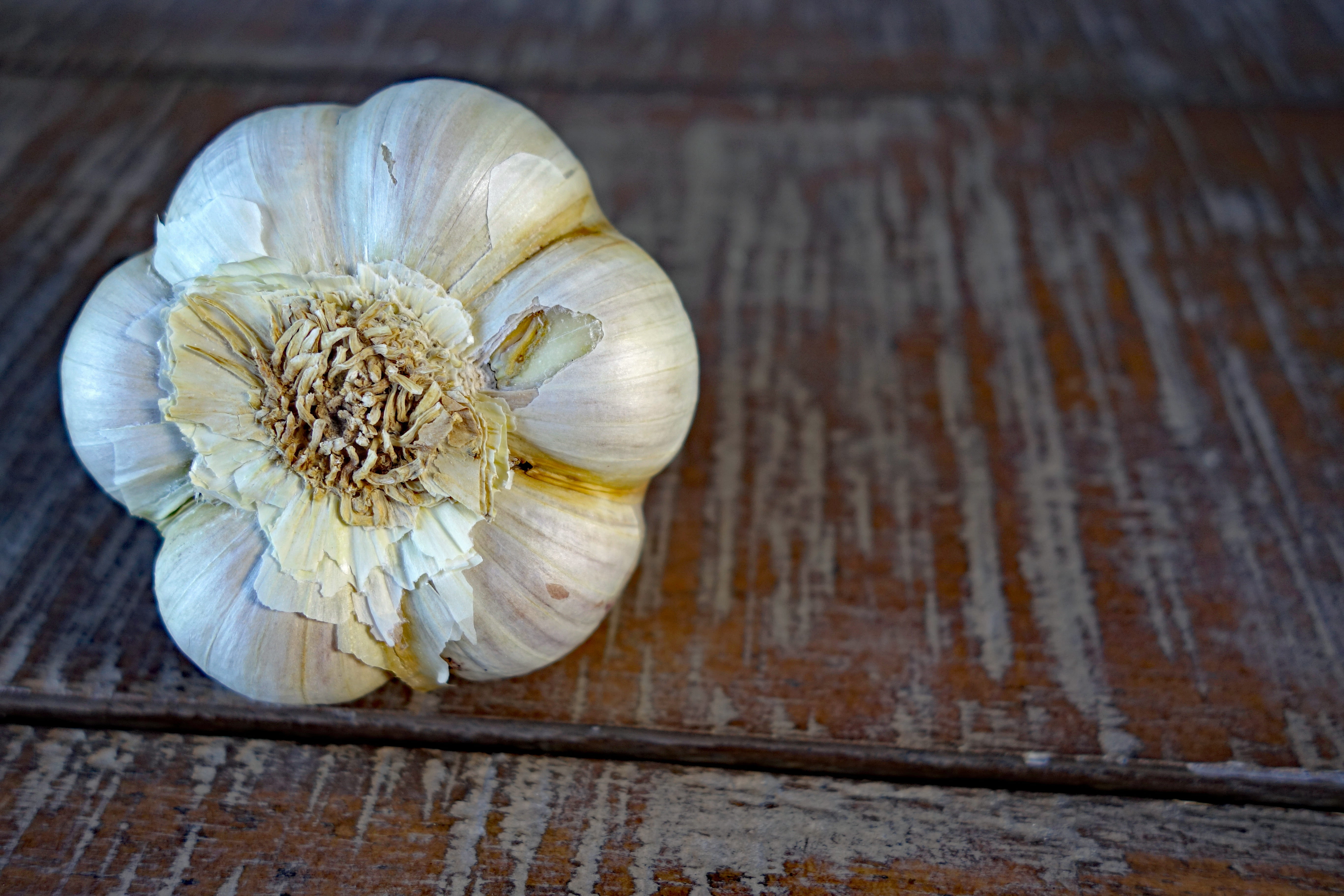 garlic clove, table, garlic, still life, food, ingredient, wellbeing, healthy eating, no people, directly above, close-up, flower, 5K, vegetables, vegetable, HD Wallpaper
