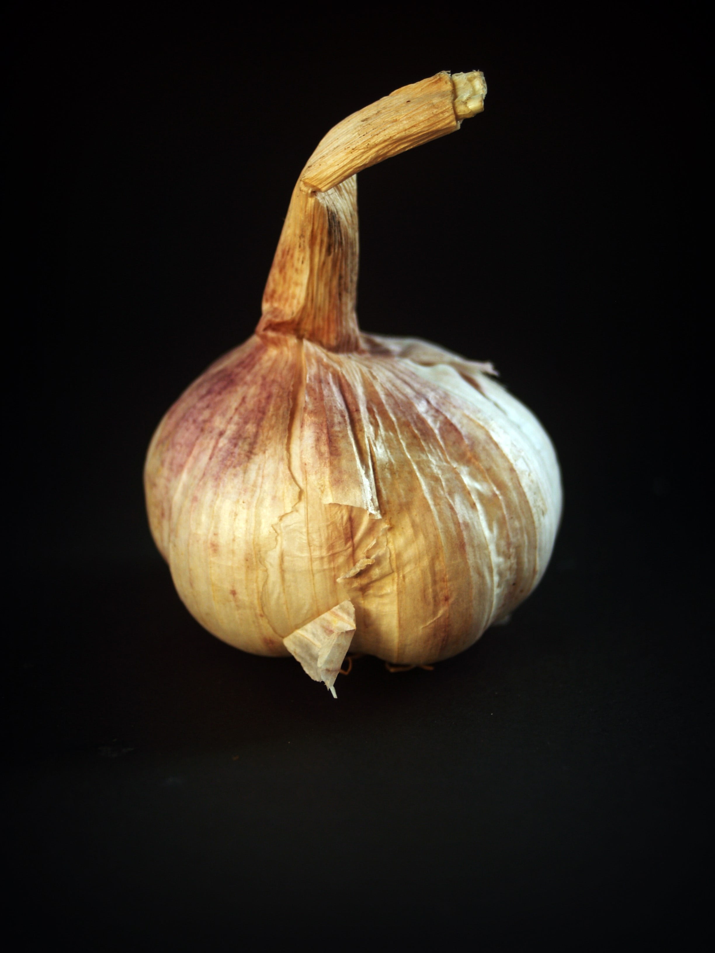 garlic, green, nutrition, healthy, plant, part, ingredient, studio shot, single object, spicy, organic, 2K, condiment, cut out, no people, still life, Phone HD Wallpaper
