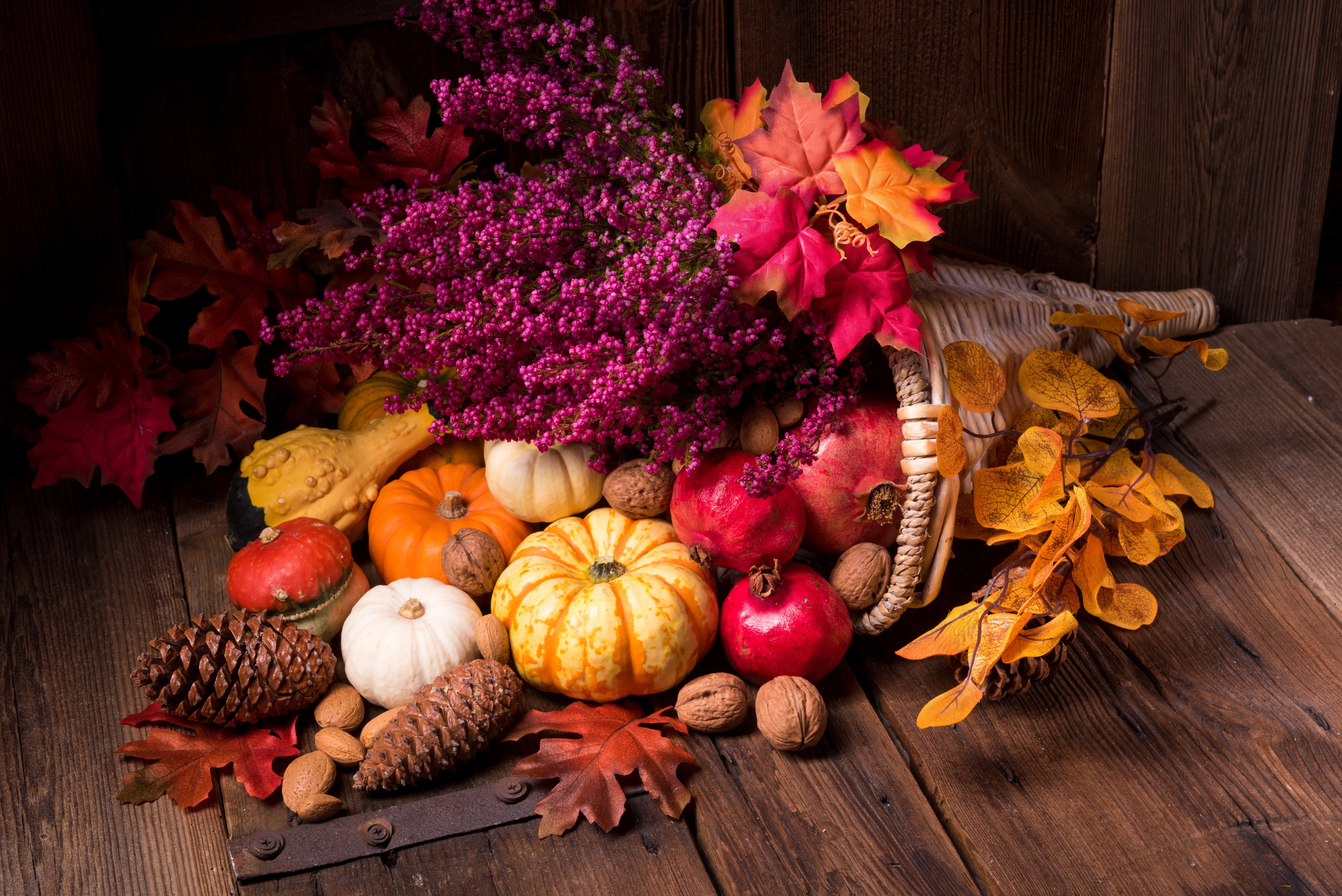 Gourd, Walnut, Cornucopia, Photography, Fall, Pine Cone, Still Life, 5K, Leaf, HD Wallpaper