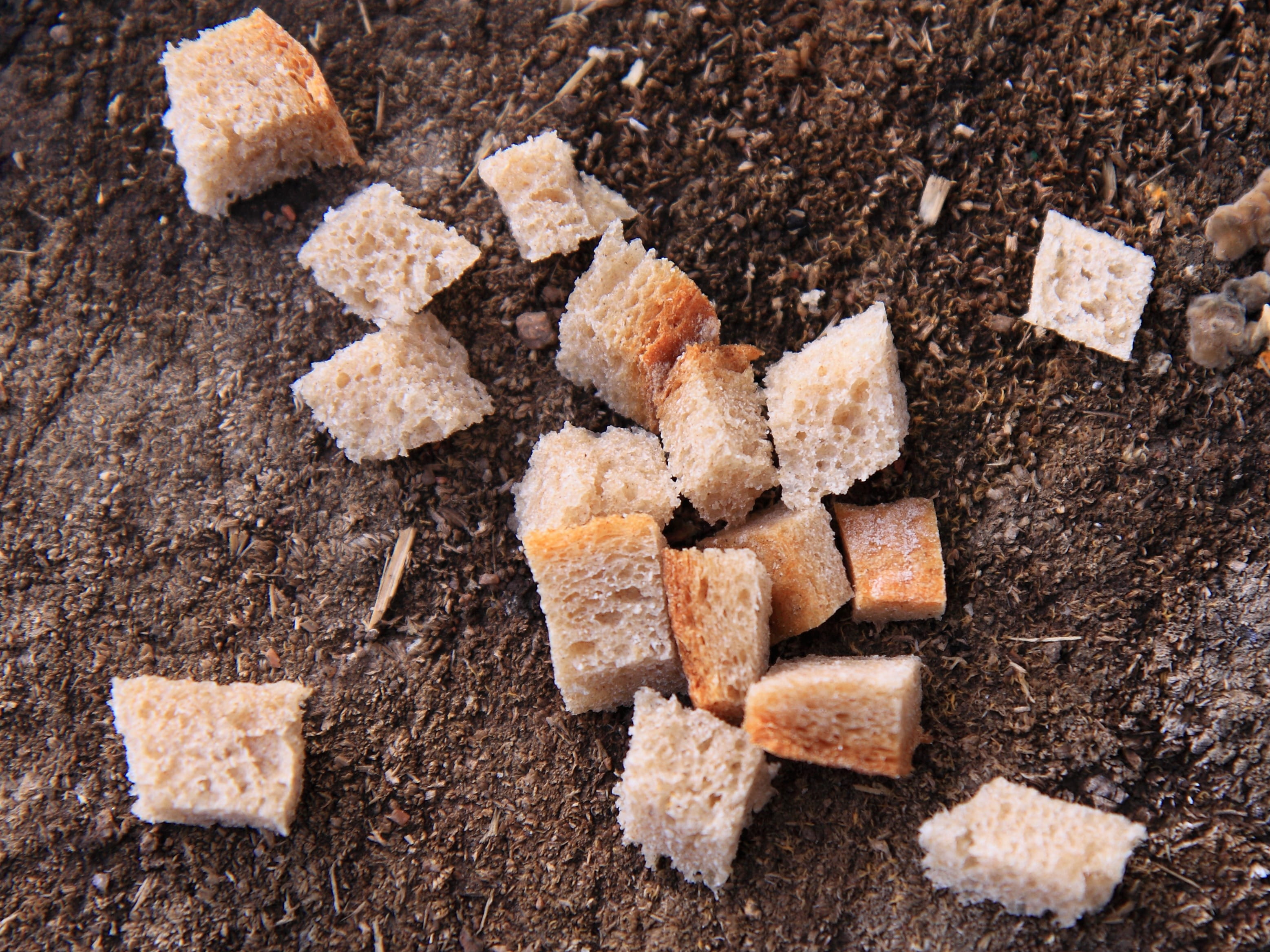 nut - food, Crust, brown sugar, food and drink, close-up, Crumble, rye, no people, temptation, nut, day, bakery, wood - material, bake, sweet food, indoors, HD Wallpaper