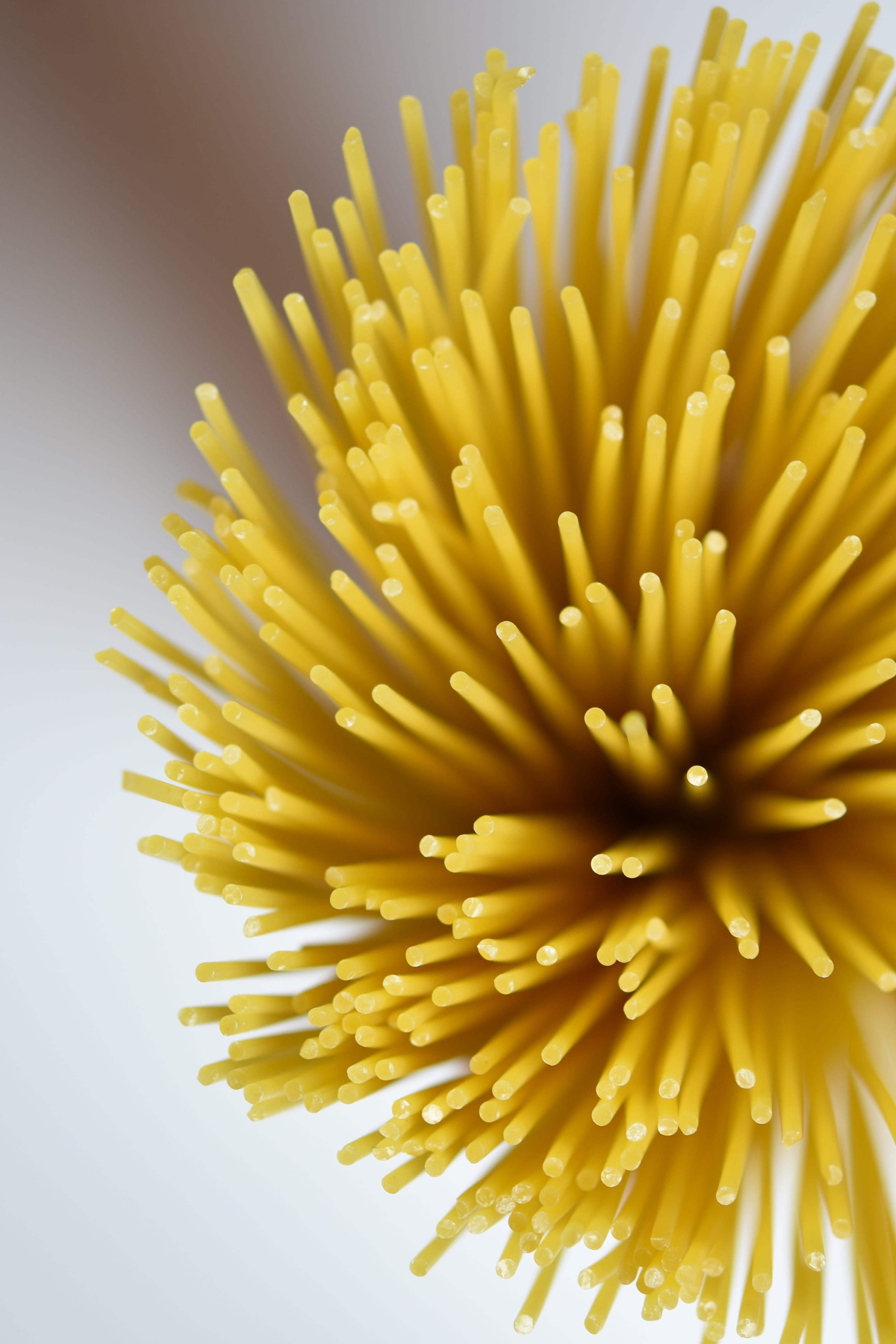 indoors, food and drink, Blur, spagetti, abundance, no people, fragility, italian food, high angle view, 4K, raw food, still life, flower head, flower, Phone HD Wallpaper