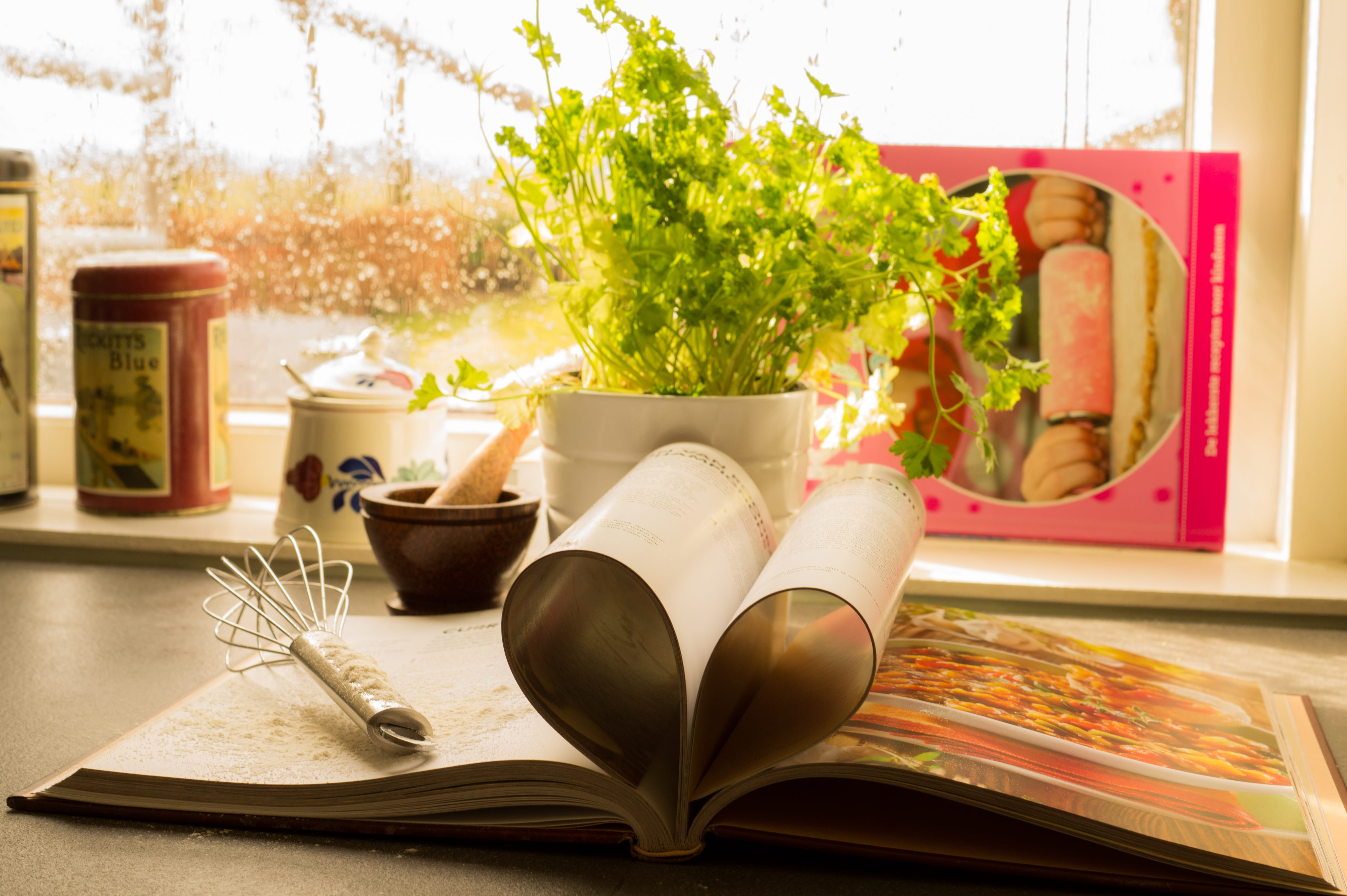 cookbook, close-up, green leaf, folding, wellbeing, open book, art, day, table, vegetable, book, bowl, metal, tray, love, open, kitchen utensil, no people, HD Wallpaper