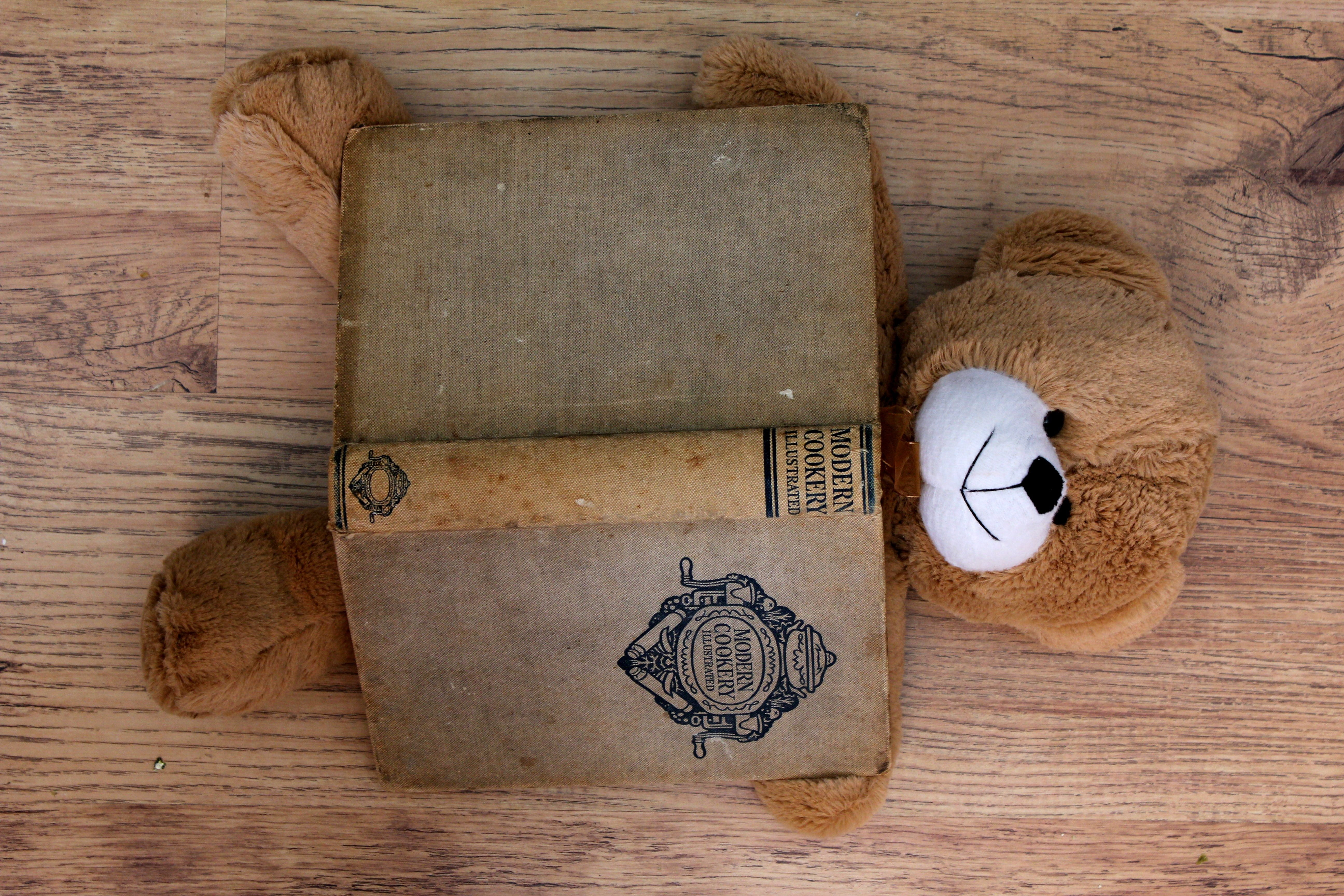 sweet, bear, cuisine, furry, cuddly, adorable, wood - material, high angle view, pattern, fluffy, old, sport, still life, book, arts culture and entertainment, HD Wallpaper
