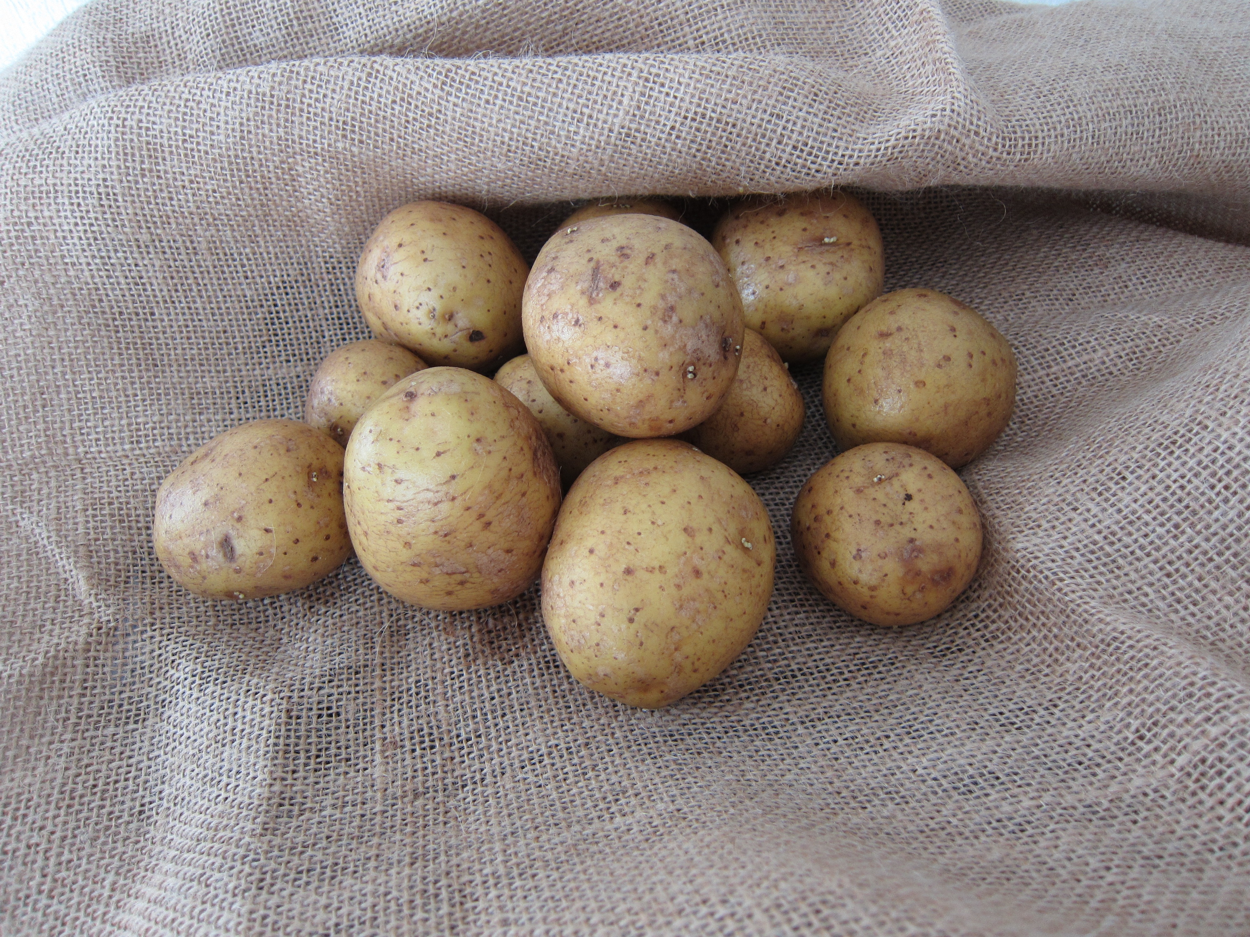 medium group of objects, sack, wellbeing, potatoes, food, brown, autumn, vegetable, raw Potato, vegetarian Food, agriculture, organic, self catering, potato, HD Wallpaper