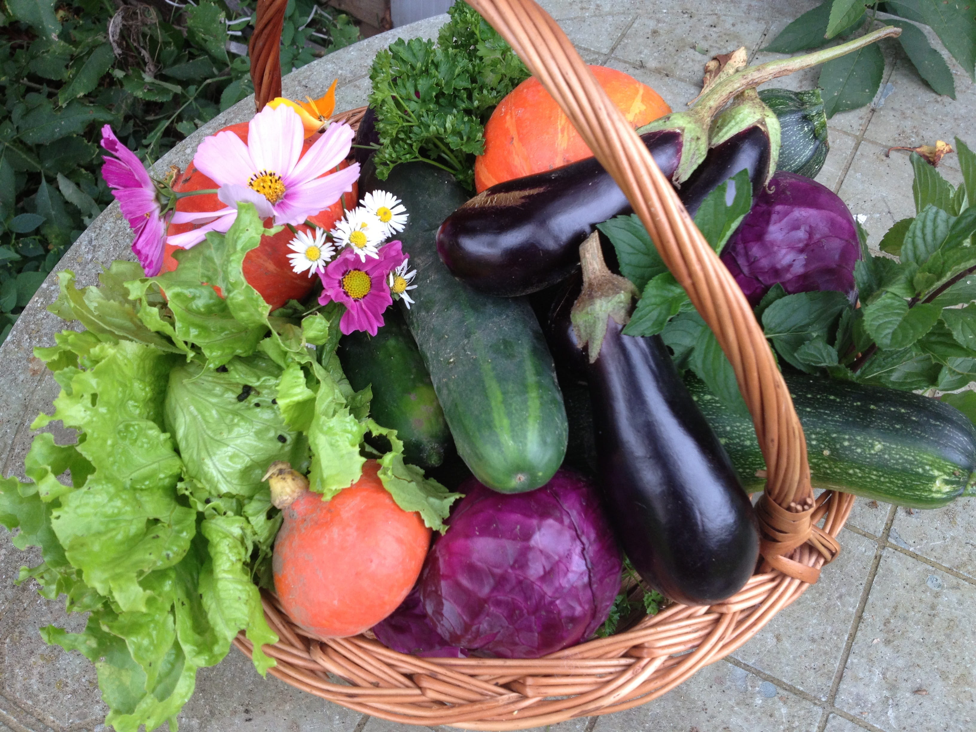 purple, vegetable garden, pumpkin, plant, nature, vegetable, wicker, wellbeing, bio, variation, assorted, close-up, eggplant, vegetables, cosmos, salad, HD Wallpaper
