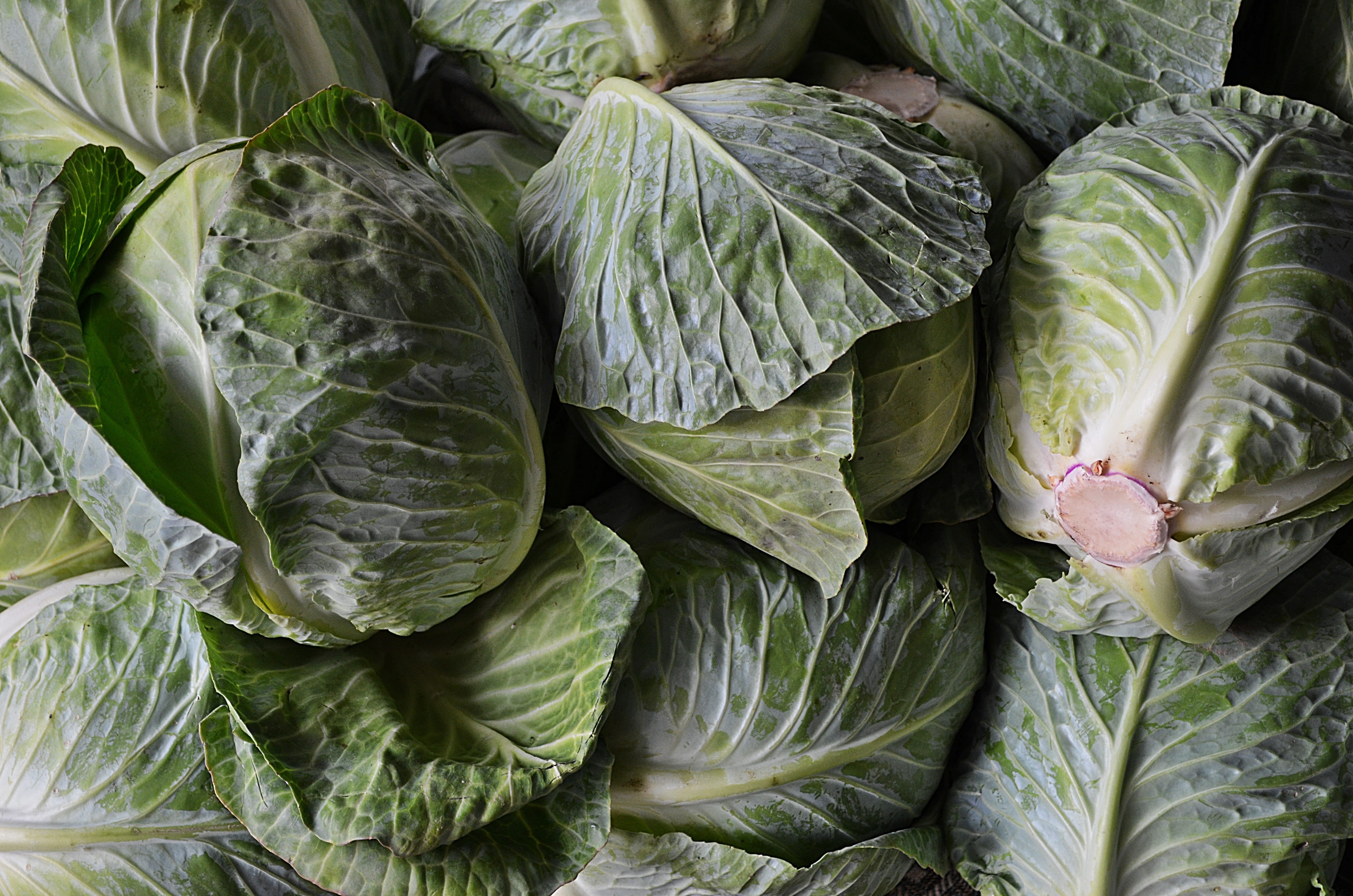 fresh, plant, vegetables, vitamins, freshness, market, vegetable, food and drink, agriculture, preparations, nutrition, natural food, leaf vegetable, pig iron, HD Wallpaper