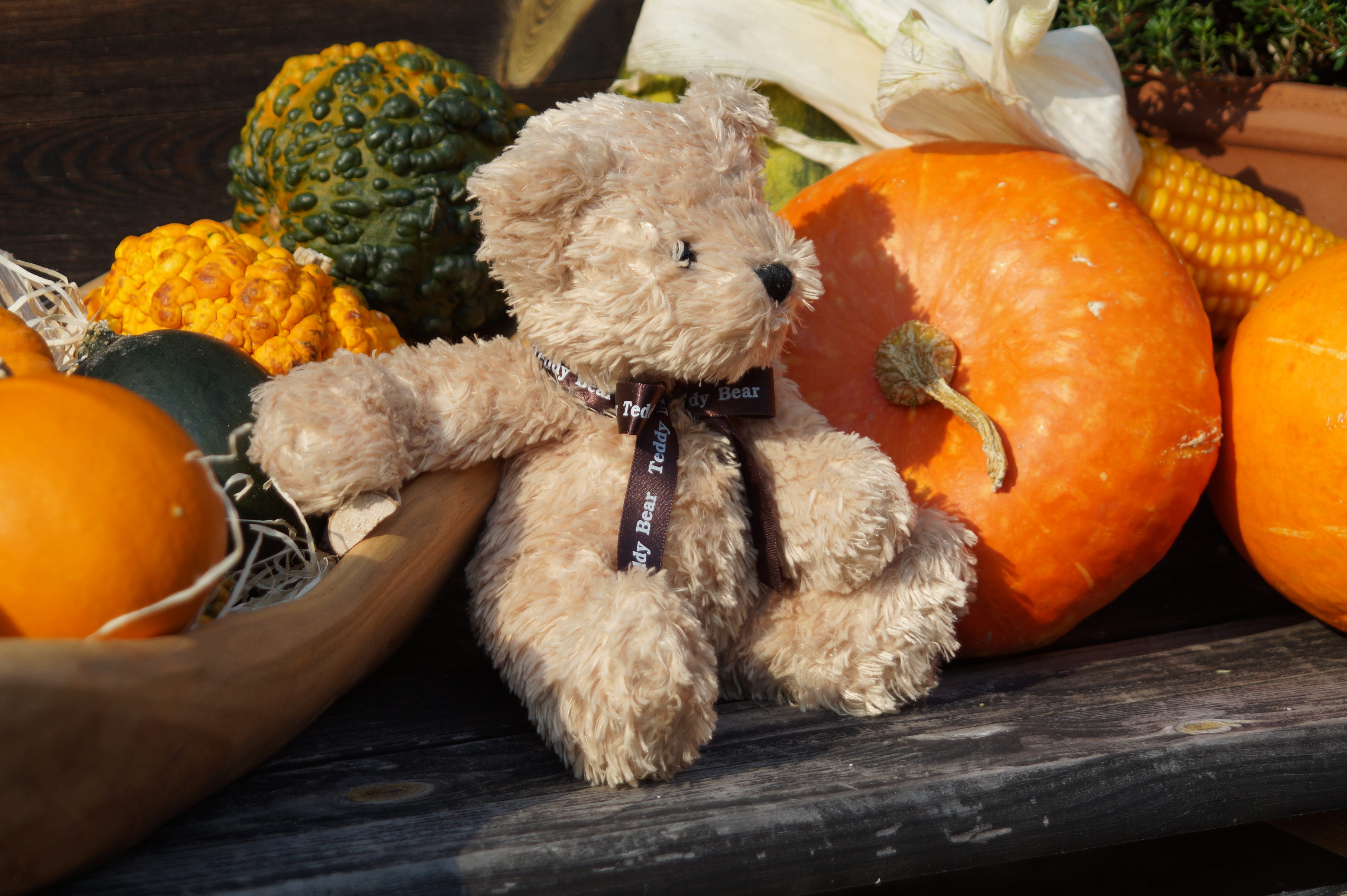 toys, animal representation, day, furry teddy bear, food and drink, teddy, freshness, food, orange, no people, wood - material, pumpkin, representation, HD Wallpaper