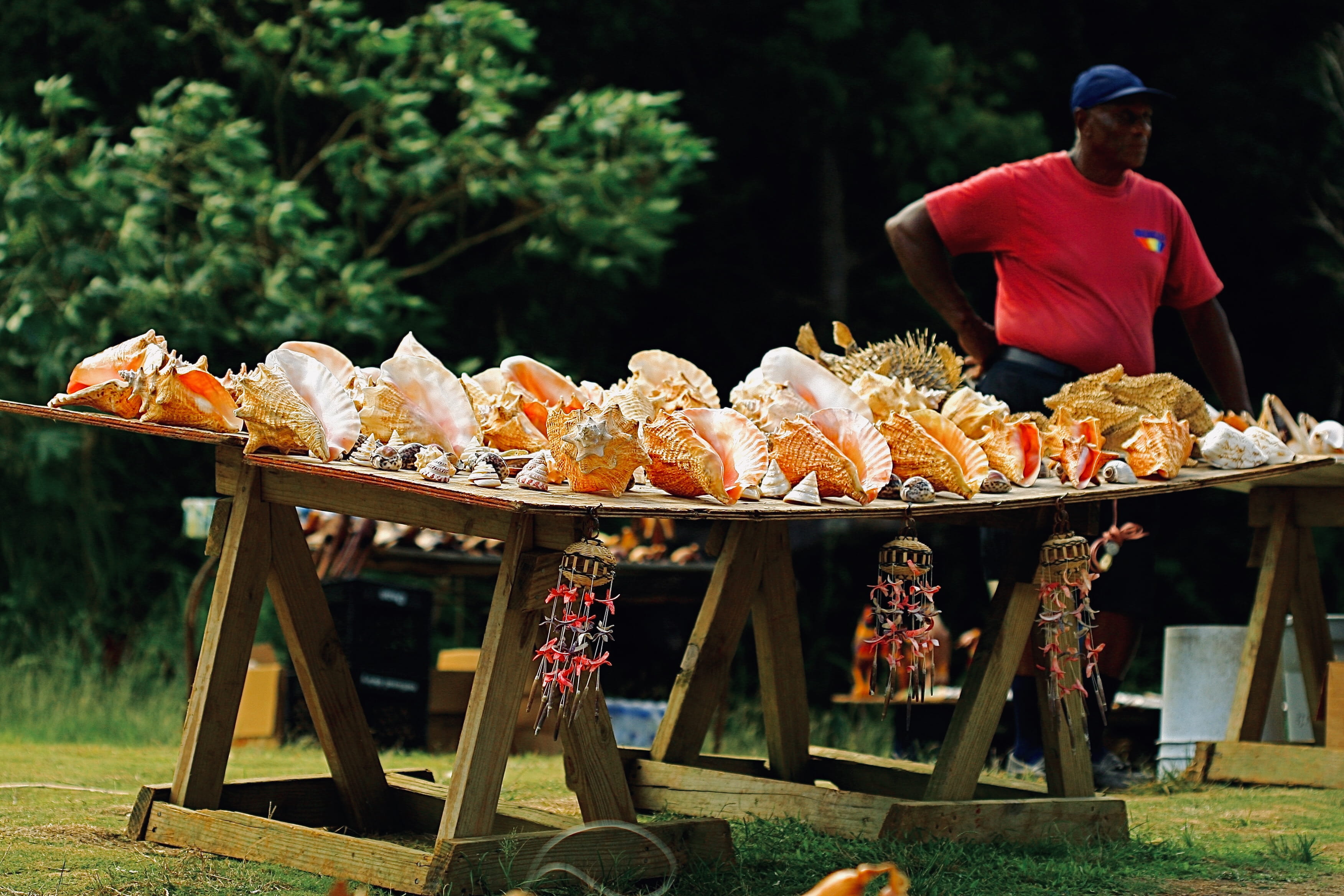 confectionery, tree, leisure activity, vendor, bread, clothing, man, 2K, shell, blossom, flower, barbecue, adult, preparing food, real people, sea, wood, HD Wallpaper