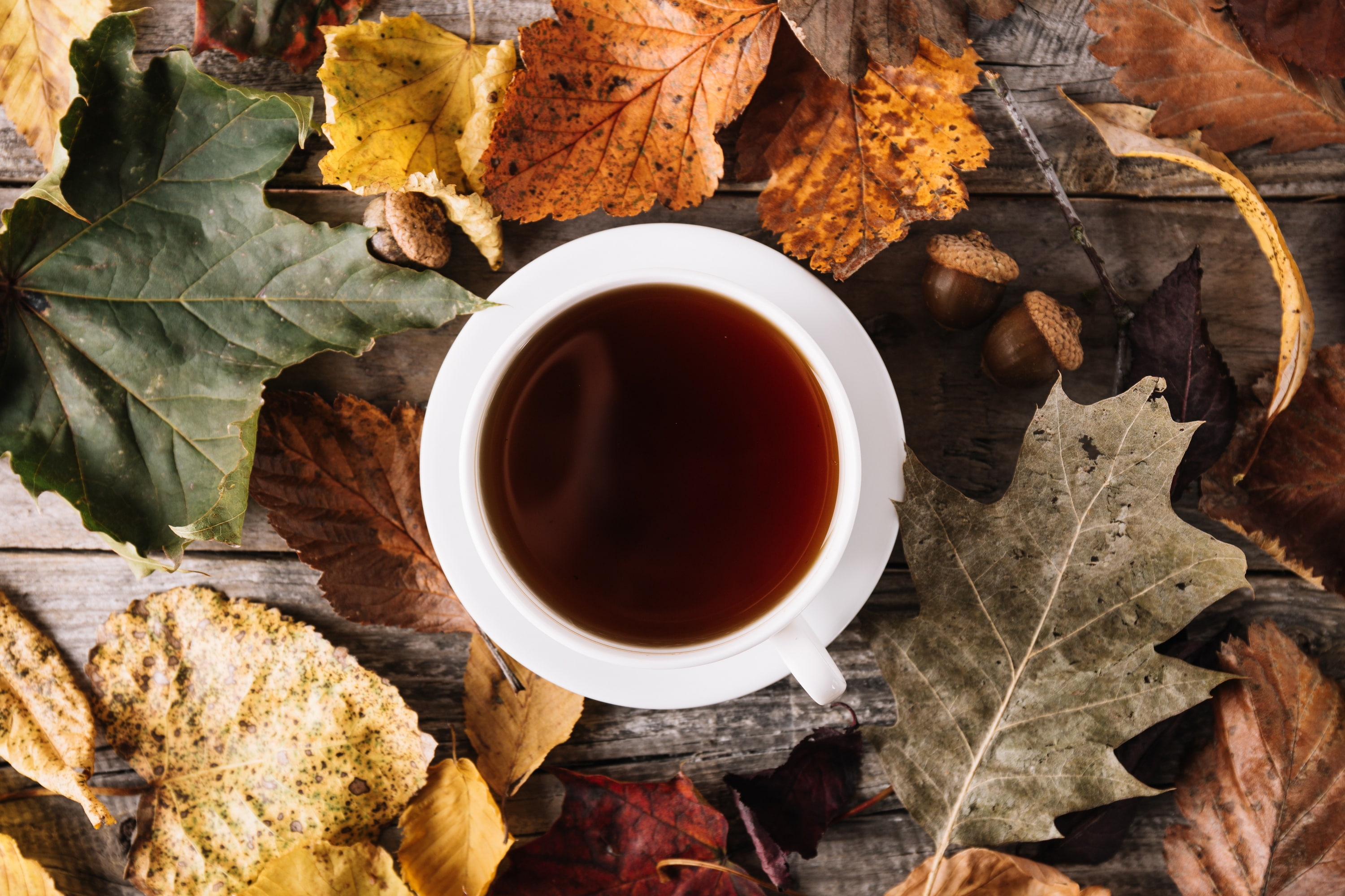 tea, leaves, autumn, drink, 2K, HD Wallpaper