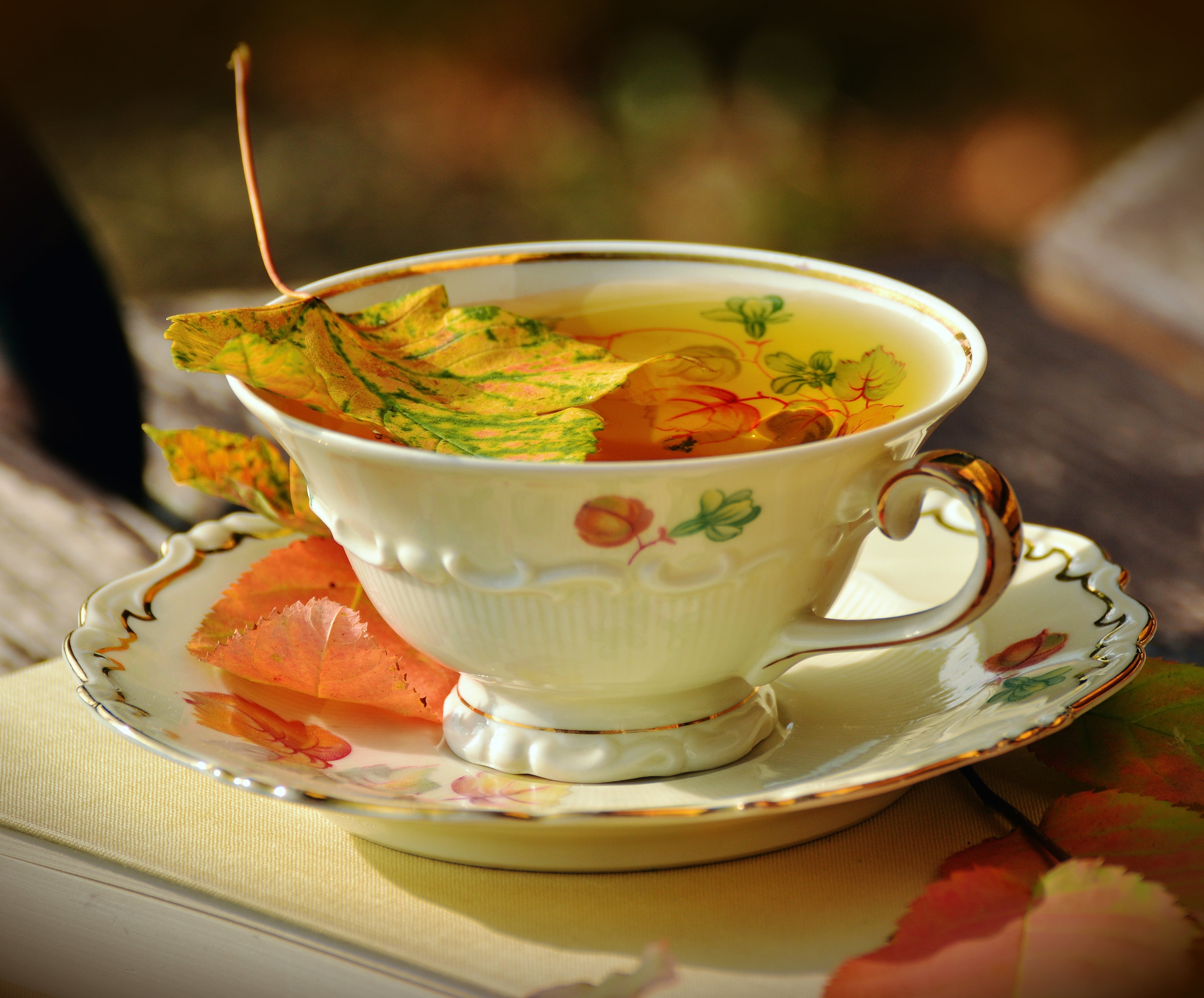 saucer, mug, yellow, hot drink, plate, orange Color, leaves, food, autumn, leaf, cultures, green Color, red, freshness, white, drink, soup, 4K, table, HD Wallpaper