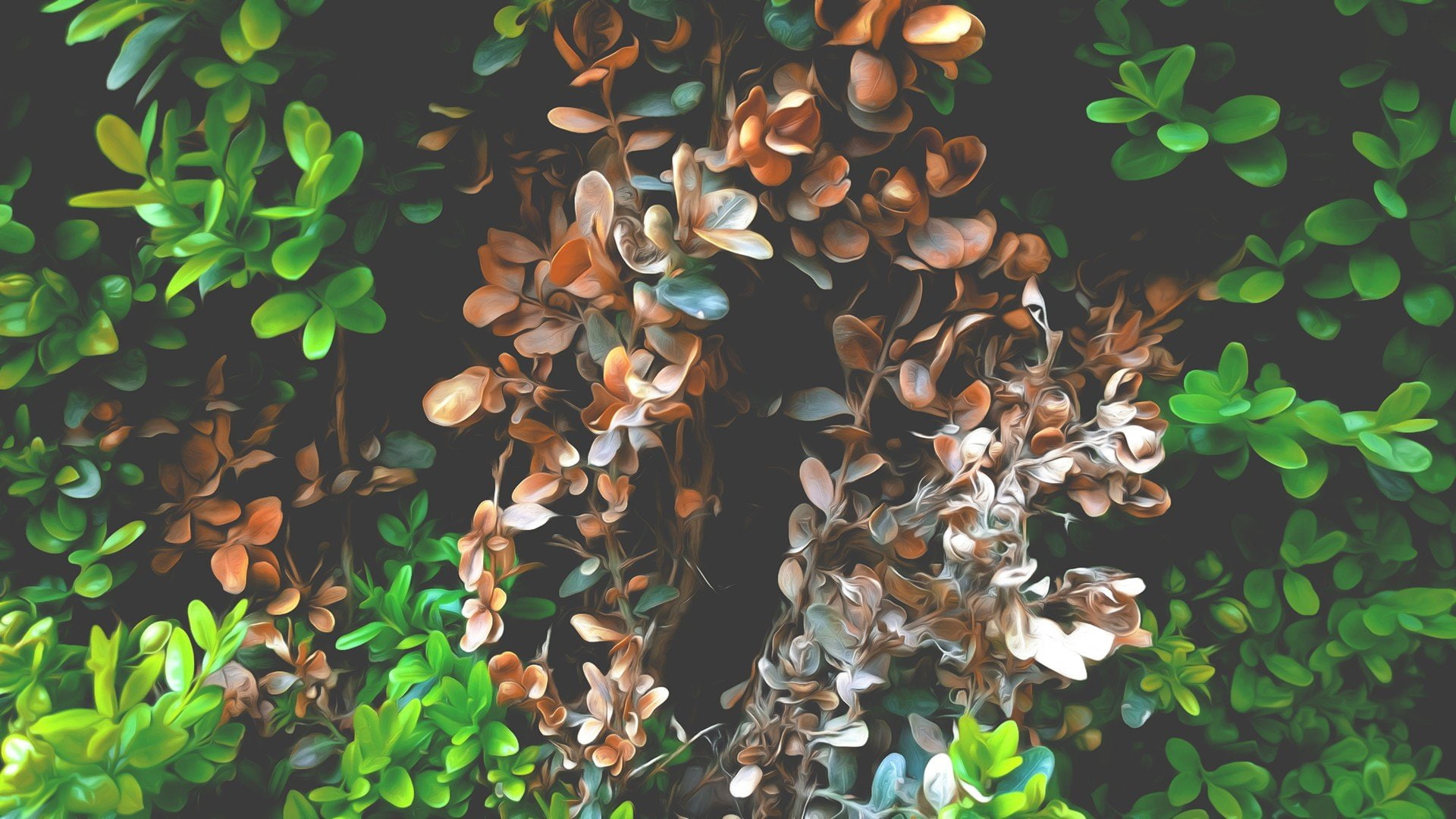 hd, plants, anime, plant, hot, art, tea, px, leaves, tea Plant, nature, 1920x1080 px, x, 1080P, HD Wallpaper