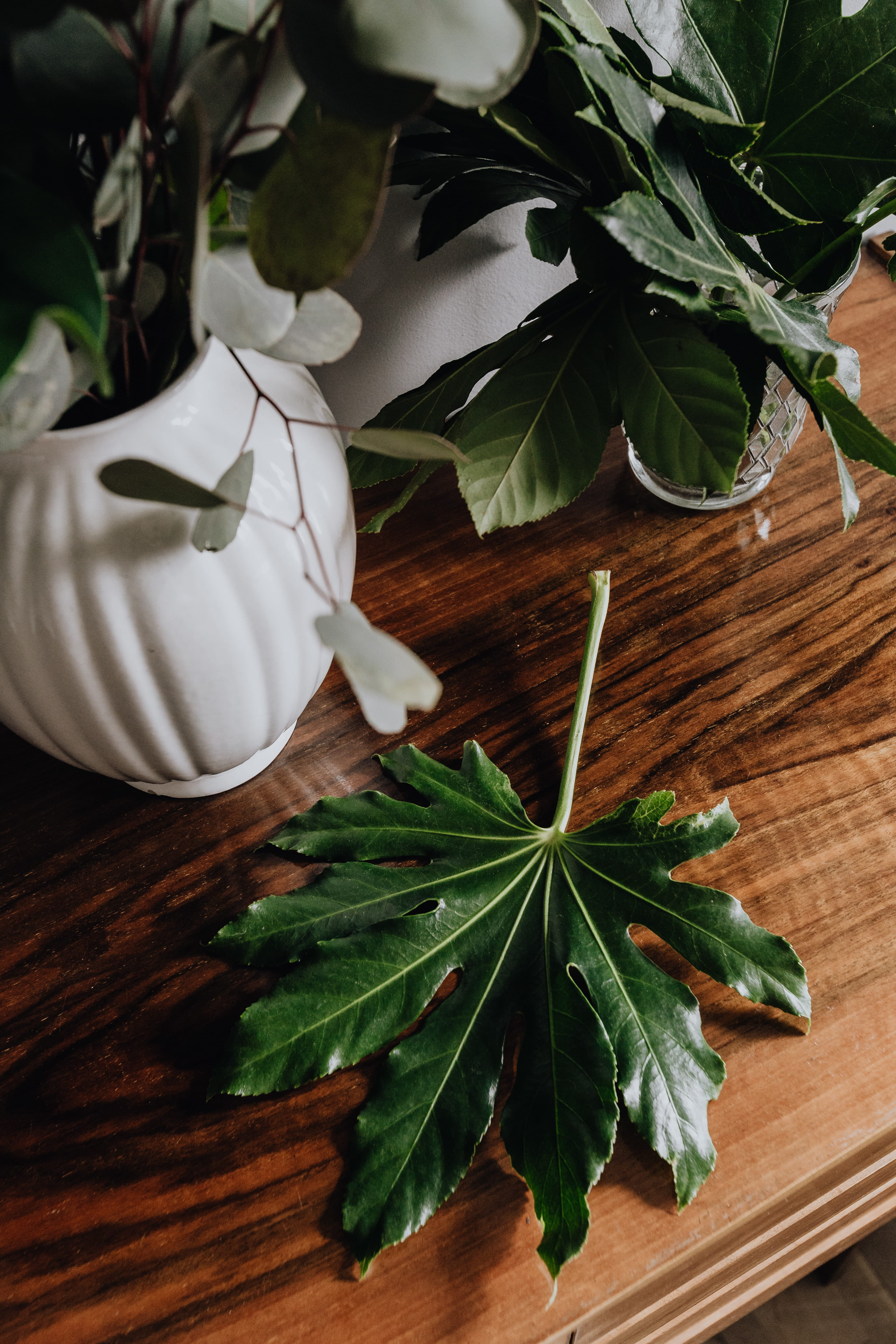green color, growth, nature, food and drink, indoors, greenery, food, leaf, plant, green, freshness, 5K, healthy eating, no people, high angle view, herb, Phone HD Wallpaper