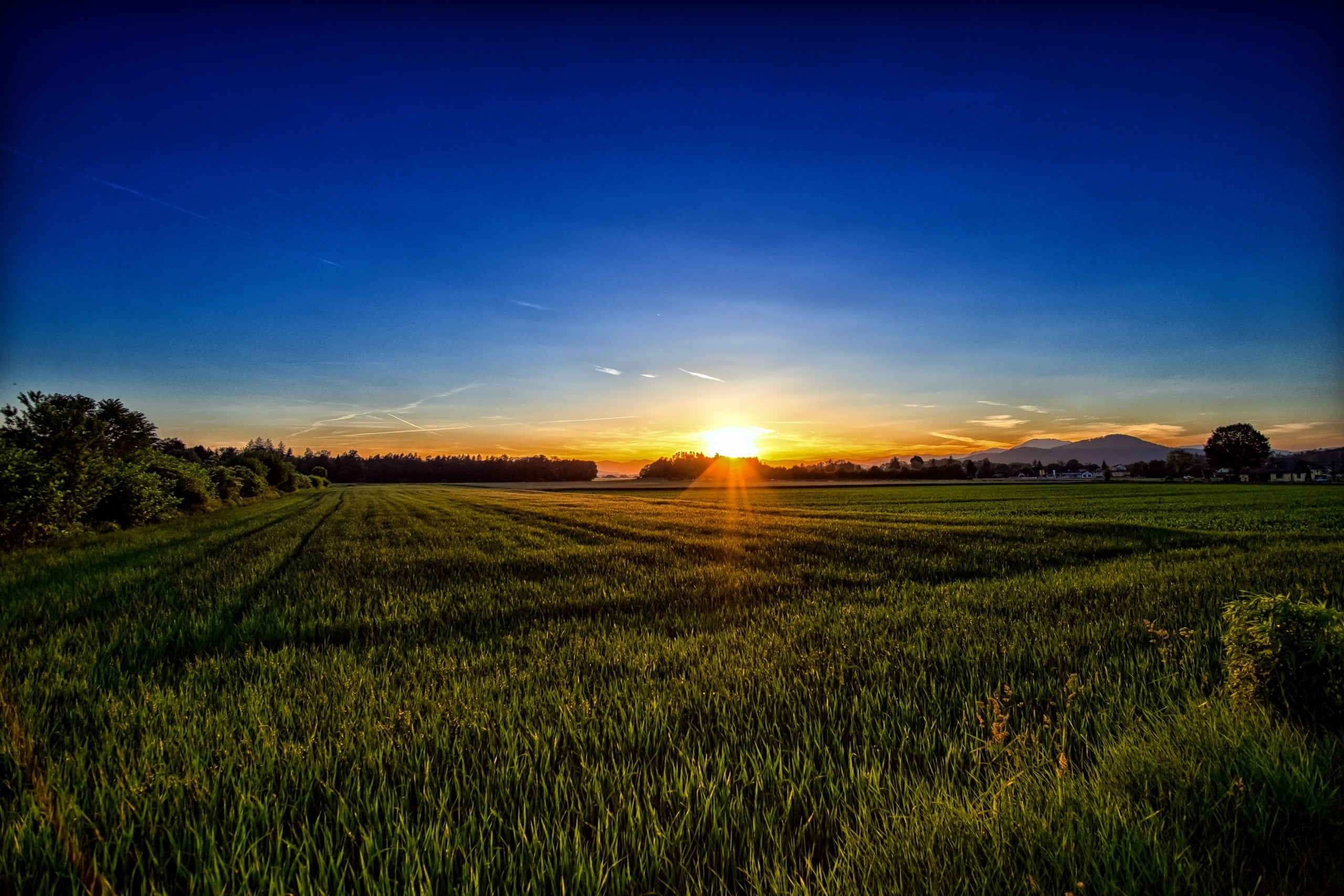 sky, outdoors, landscape, morning, plant, green, austria, wheat, dawn, agriculture, growth, yellow, tranquil Scene, backgrounds, land, tranquility, summer, HD Wallpaper