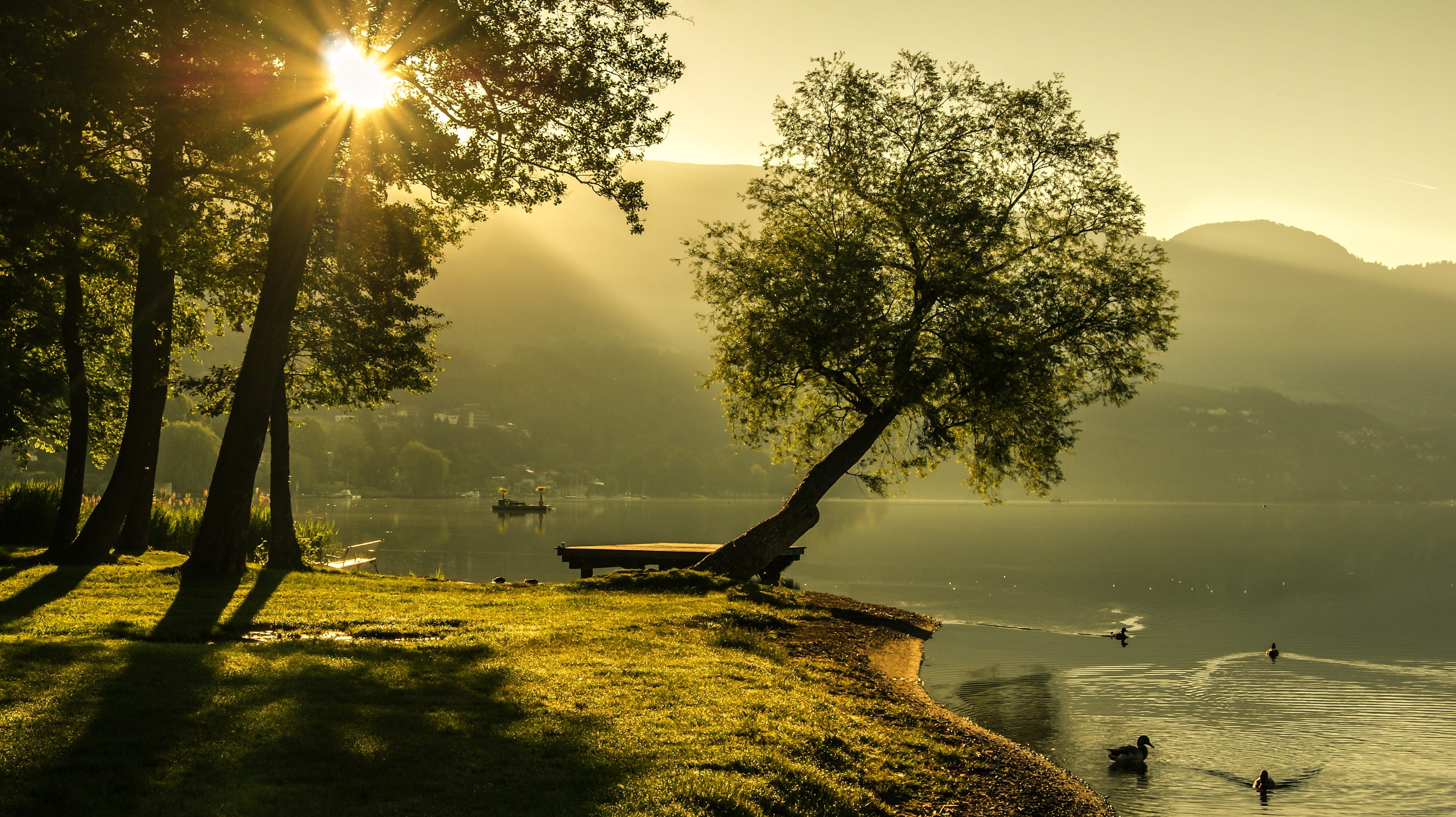 outdoors, sun, sky, scenic, sunbeam, nature, sunlight, landscapes, gray, lighting, tranquility, 4K, reflection, carinthia, fog, sunrise, landscape, tranquil scene, HD Wallpaper