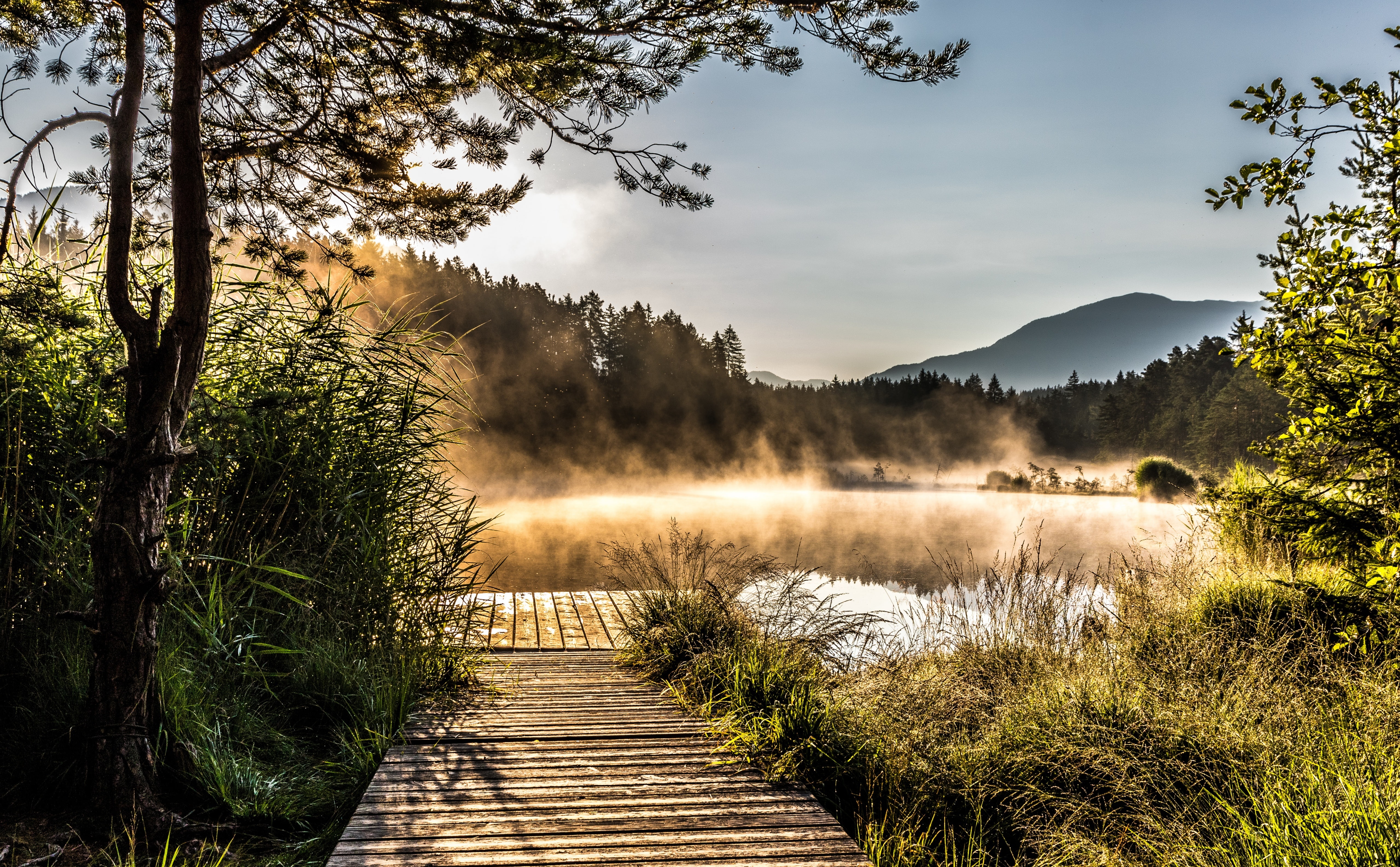 cloud - sky, forest, non-urban scene, scenics - nature, carinthia, Nature, lake, brown, dock, growth, land, austria, day, 5K, beauty in nature, sky, outdoors, HD Wallpaper