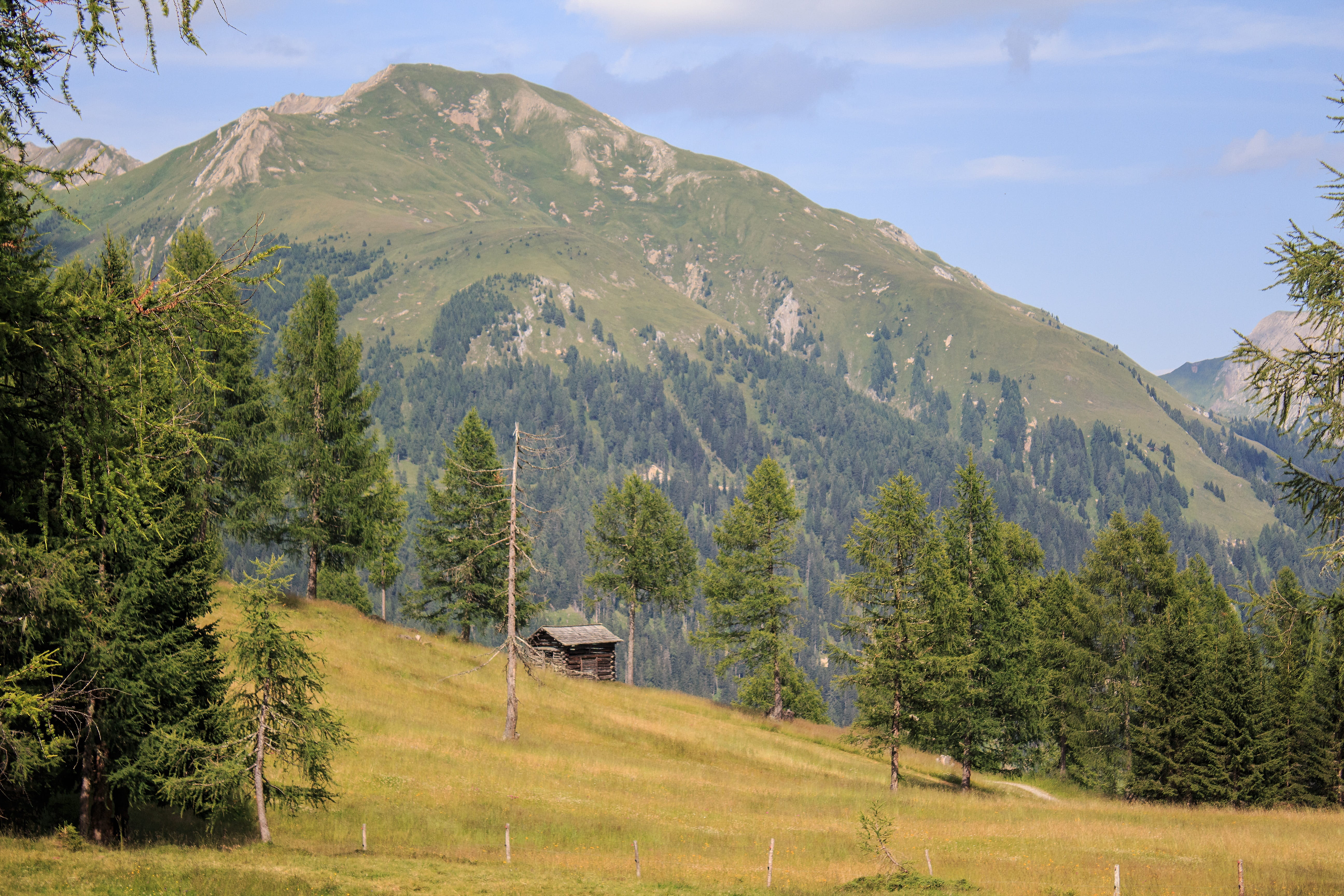 non-urban scene, no people, austria, meadow, agriculture, beauty in nature, environment, alm, growth, day, sunlight, mountain peak, outdoors, hut, barn, HD Wallpaper