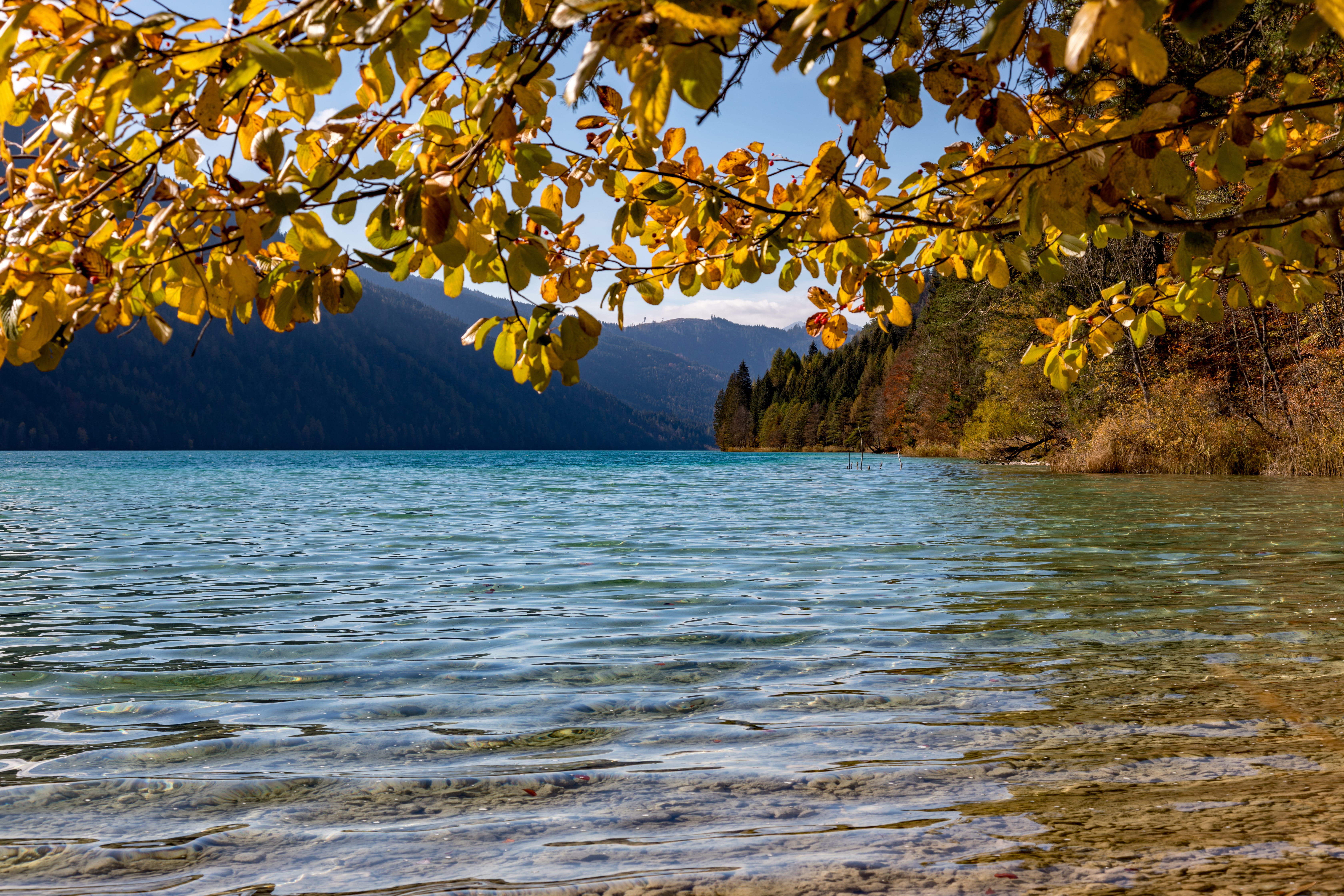 tranquil scene, scenics - nature, nature, non-urban scene, water, no people, change, autumn, carinthia, mountain, landscape, land, beauty in nature, plant, HD Wallpaper