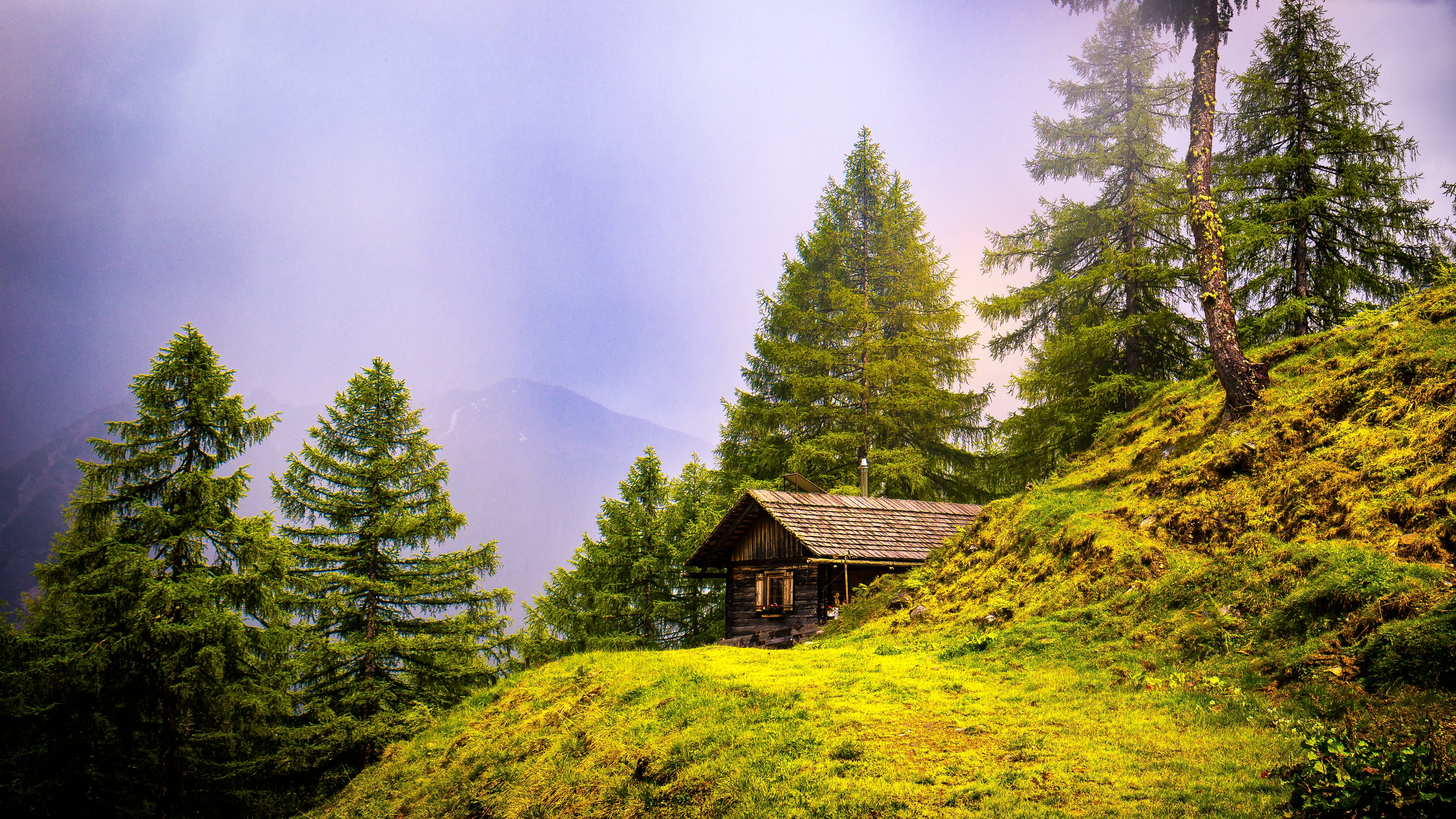 environment, lesachtal, nature, beauty in nature, mysterious, rural scene, green color, built structure, hiking, outdoors, fog, cottage, woodland, hut, HD Wallpaper