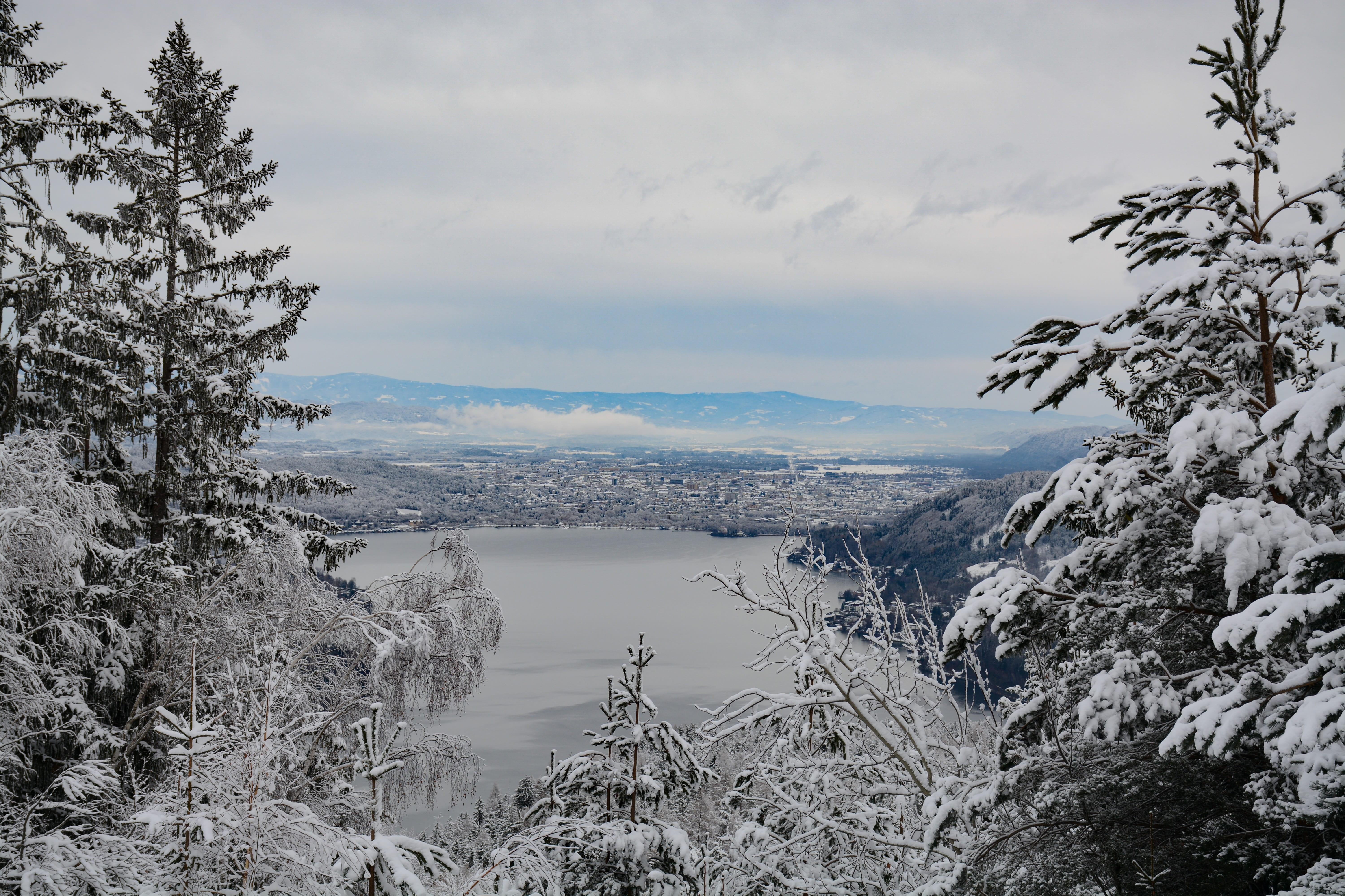 tree, snow, snowcapped mountain, plant, beauty in nature, wörthersee, water, nature, non-urban scene, pyramidenkogel, outdoors, scenics - nature, tranquil scene, HD Wallpaper