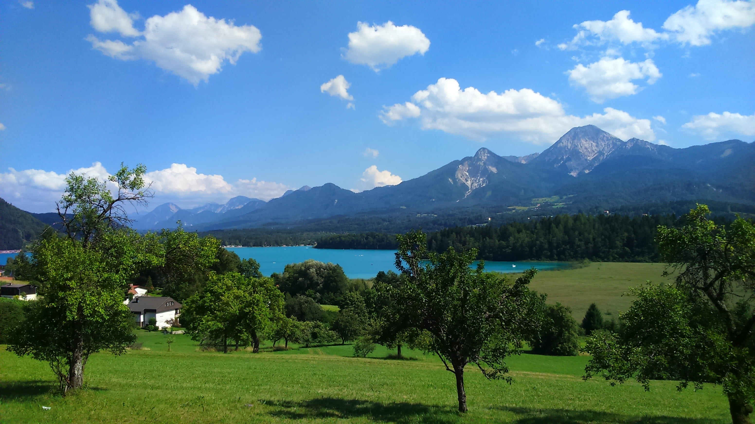 plant, day, of course, outdoors, mountain range, water, lake, land, beauty in nature, summer, cloud - sky, tranquil scene, no people, mountains, austria, HD Wallpaper