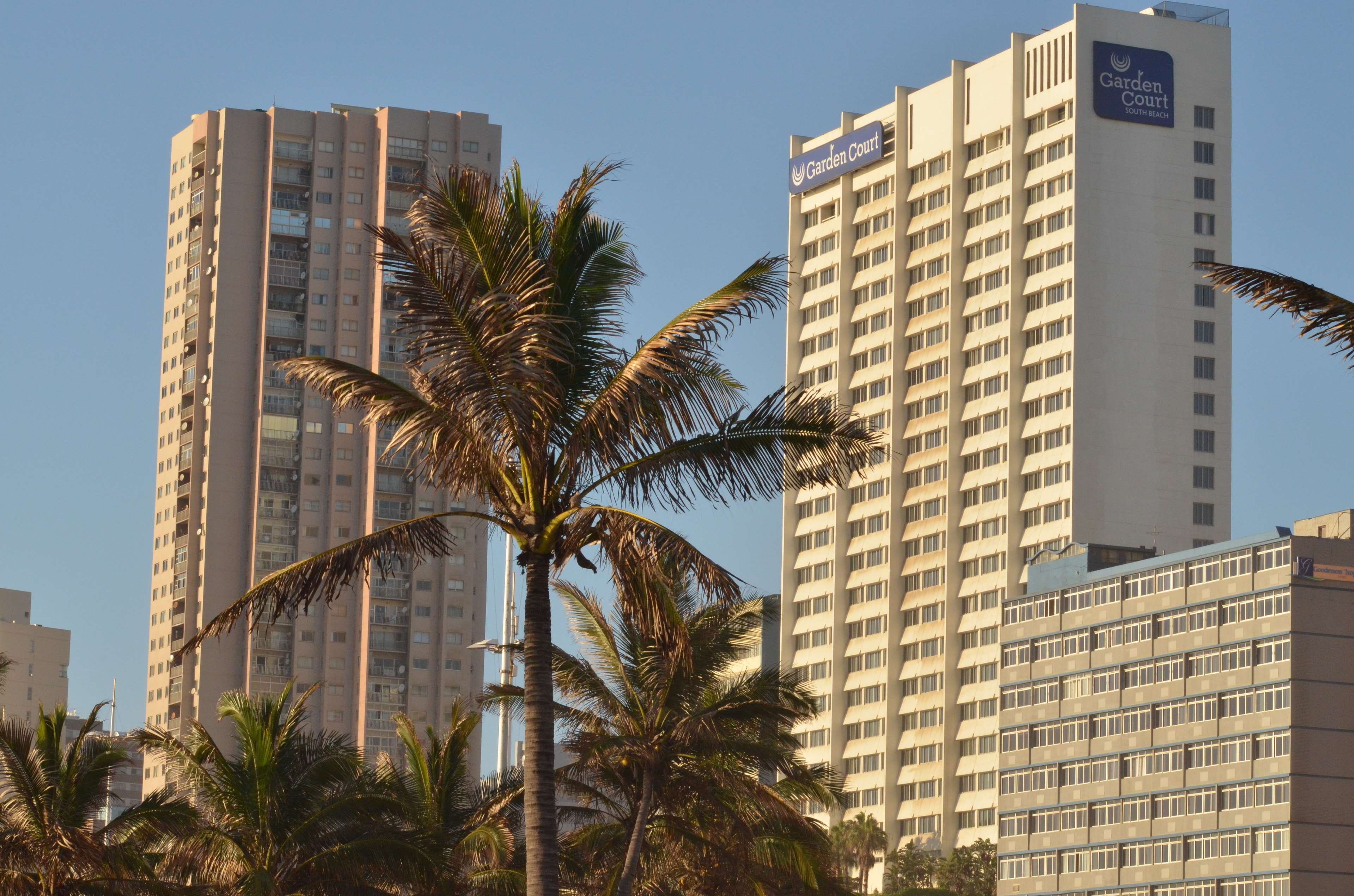 office building exterior, no people, tropical tree, coconut palm tree, tall - high, palm leaf, outdoors, nature, built structure, 4K, building exterior, HD Wallpaper