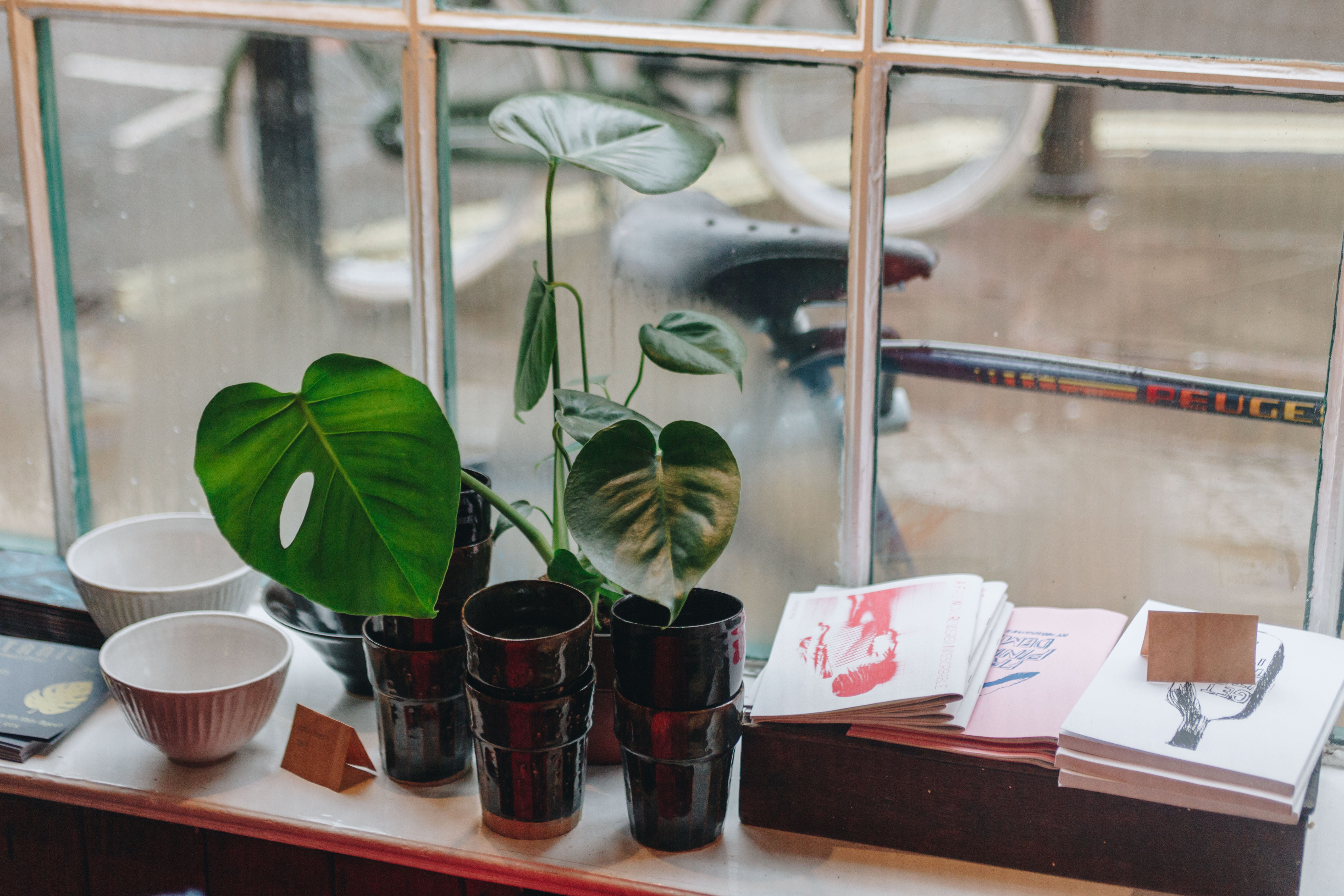 beside, cup, pot, beauty in nature, gardening, bowls, arrangement, potted plant, food and drink, plant, group, table, window, green color, indoors, growth, HD Wallpaper