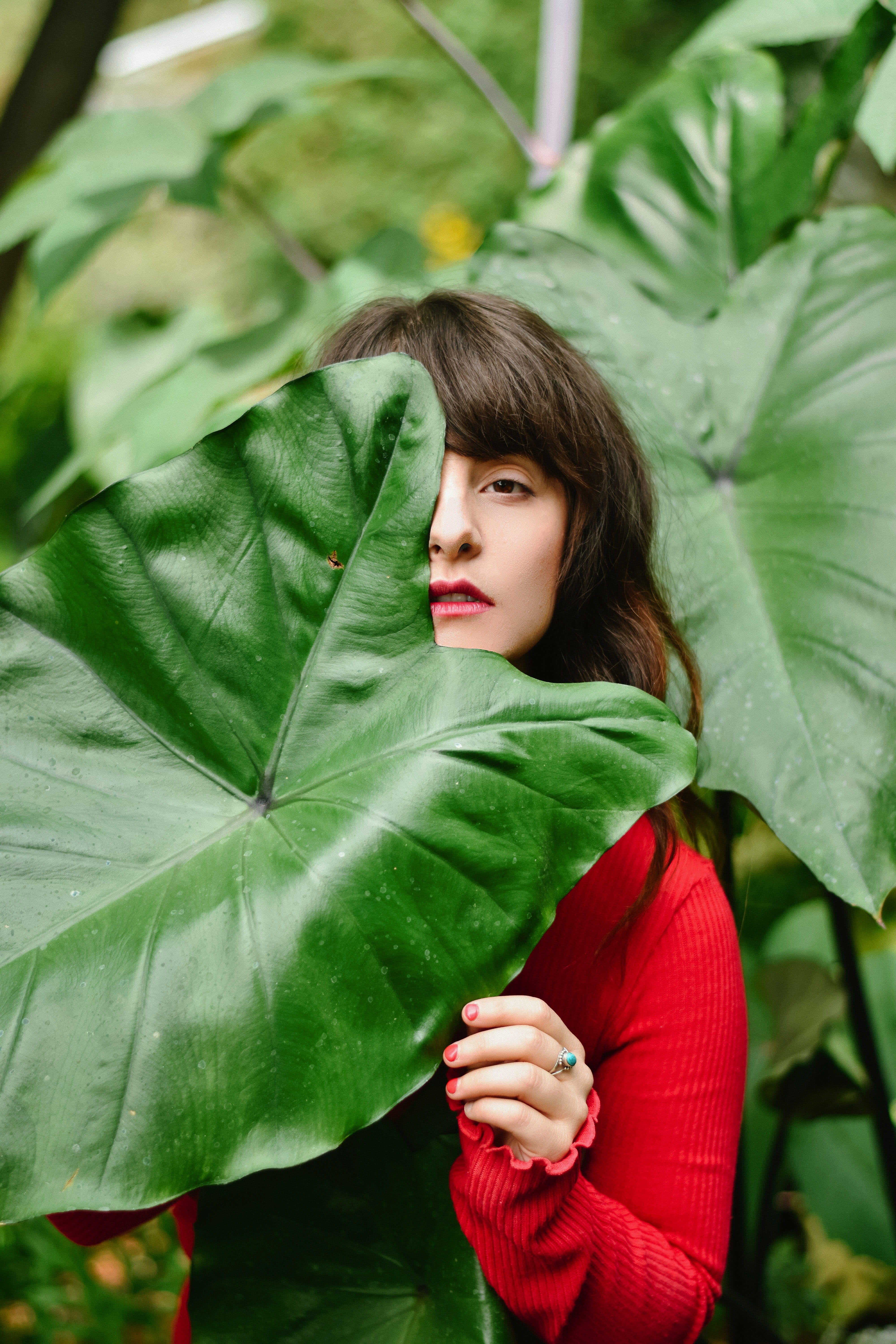 5K, cheerful, smiling, day, plant, summer, season, women, outdoors, looking, interesting, green Color, people, freshness, girls, forest, caucasian Ethnicity, Phone HD Wallpaper
