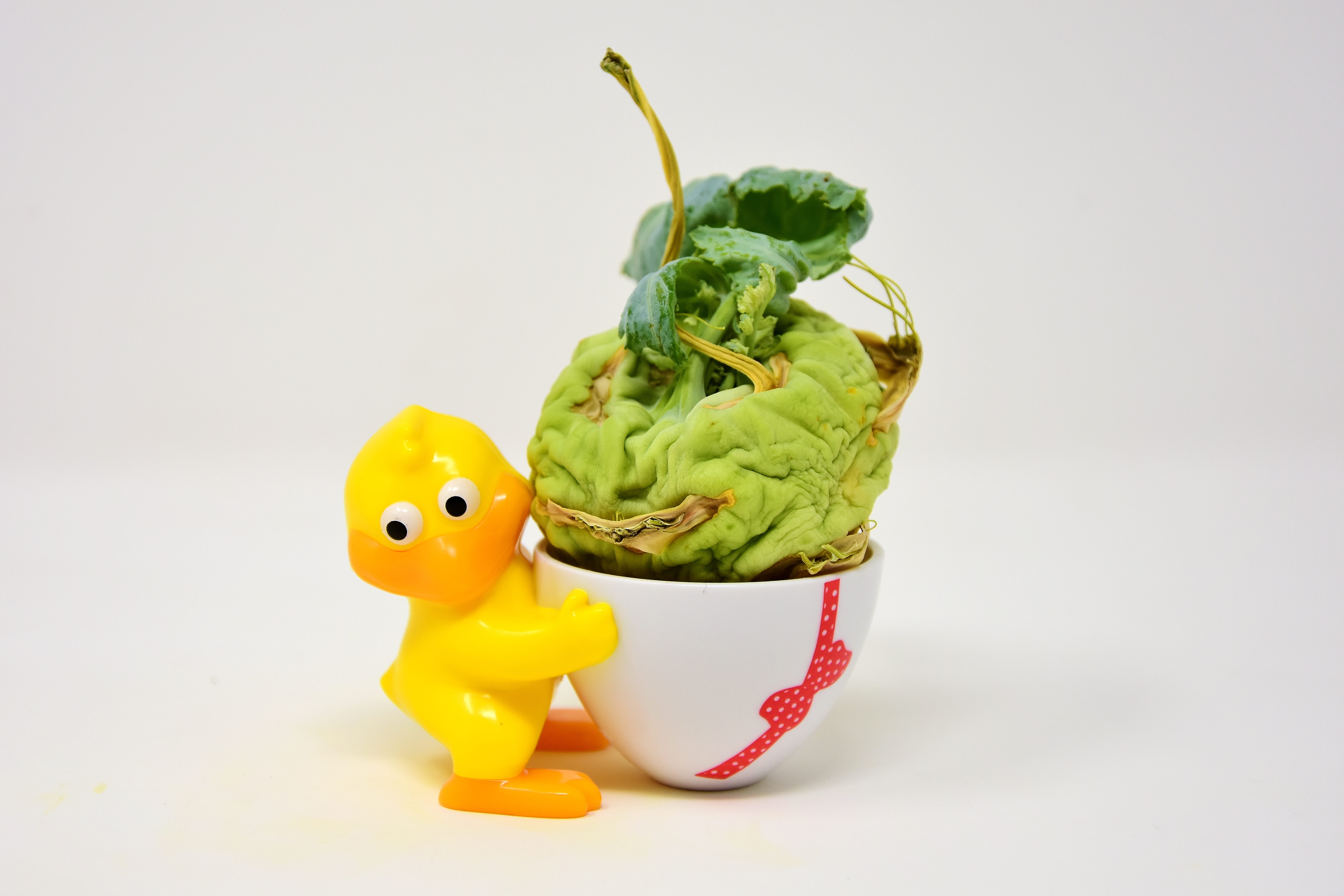 green color, 5K, representation, withered, still life, close-up, funny, vegetable, creativity, egg cups, no people, single object, vegetables, animal themes, HD Wallpaper