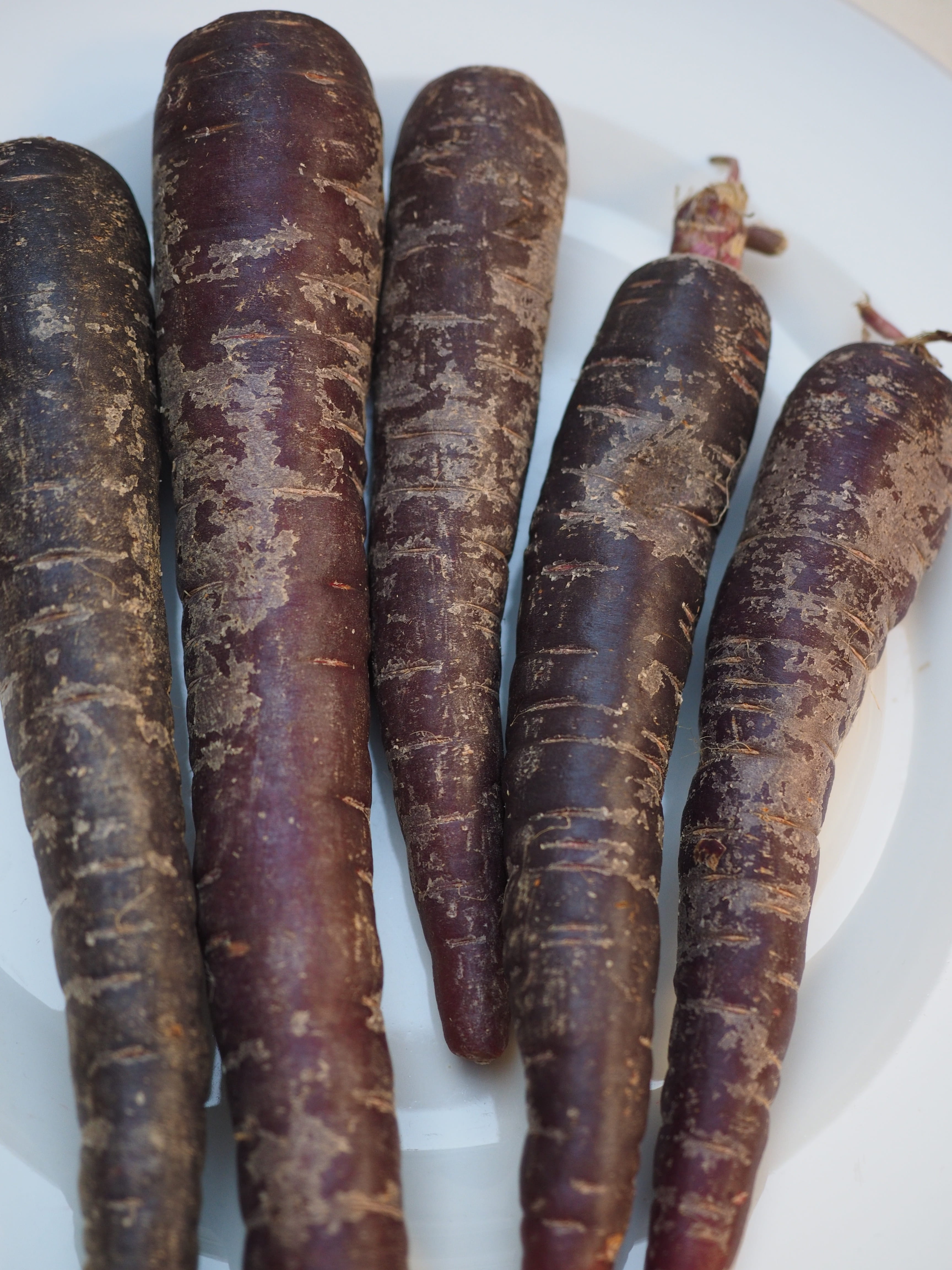 close-up, food, turnip, snack, meat, plate, purple, french food, deep purple, 4K, vegetable, freshness, root vegetable, sausage, high angle view, red carrots, Phone HD Wallpaper