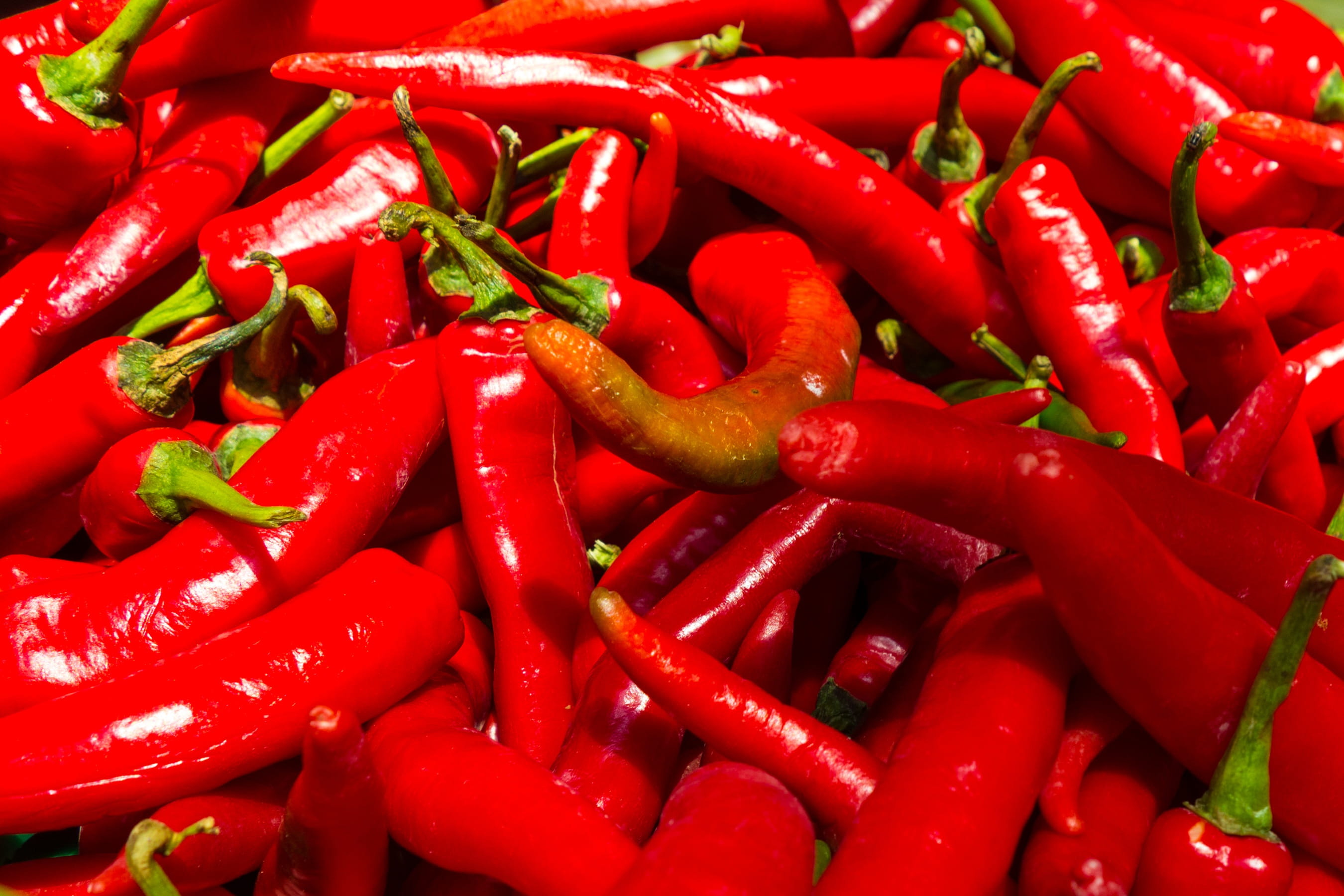 retail, 2K, market, fresh, food, chili pepper, shiny, large group of objects, ingredient, pepper, backgrounds, abundance, red, full frame, ripe, spice, HD Wallpaper