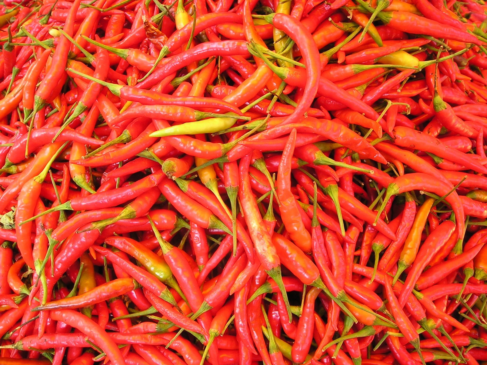 red, for sale, high angle view, spices, food and drink, vegetable, close-up, sharp, hot, vegetarian food, thailand, 1080P, chilli pepper, backgrounds, HD Wallpaper