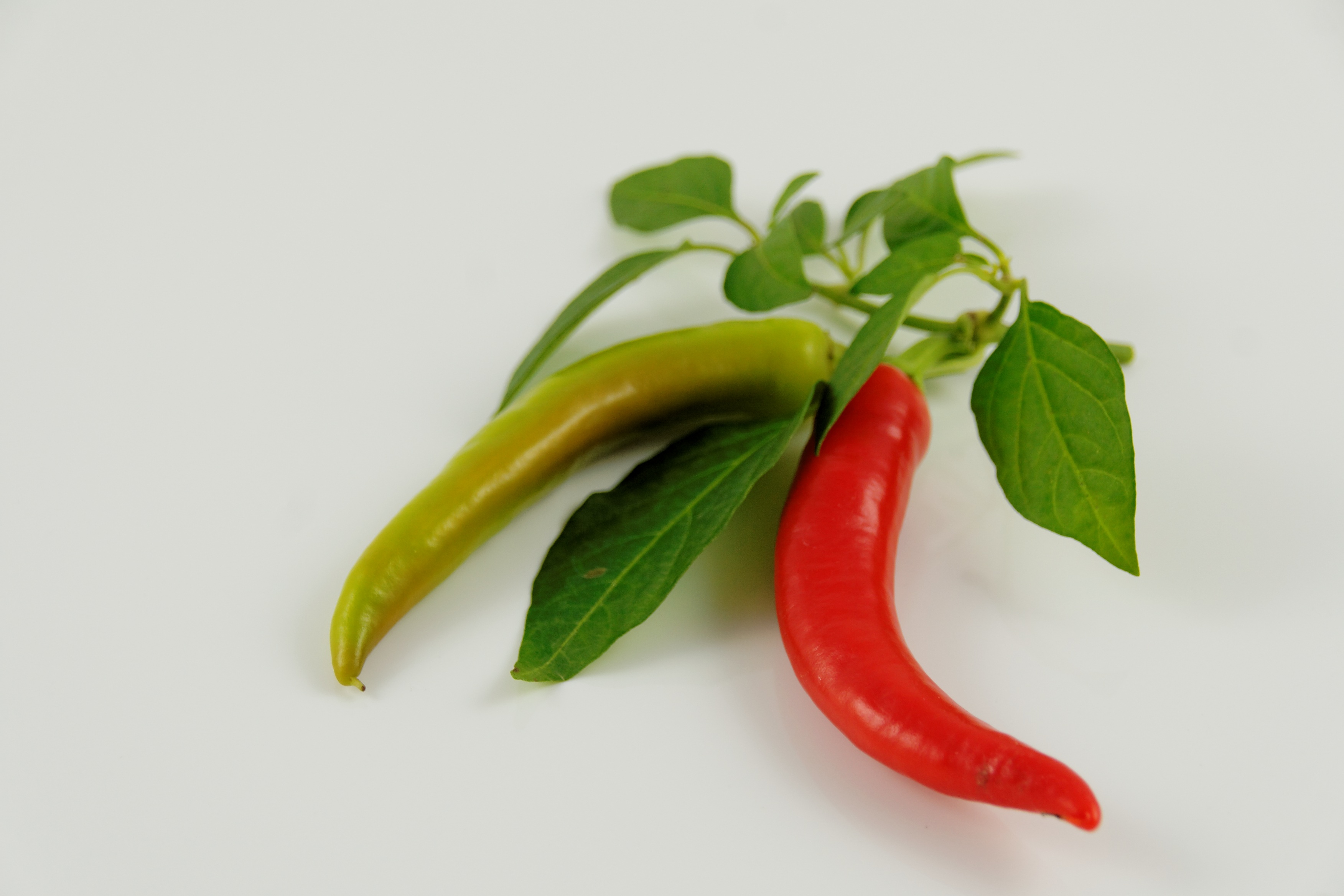 white background, healthy eating, eat, paprika, pepperonie, group of objects, jalapeno pepper, pepper, red, green color, freshness, wellbeing, spice, plant part, HD Wallpaper