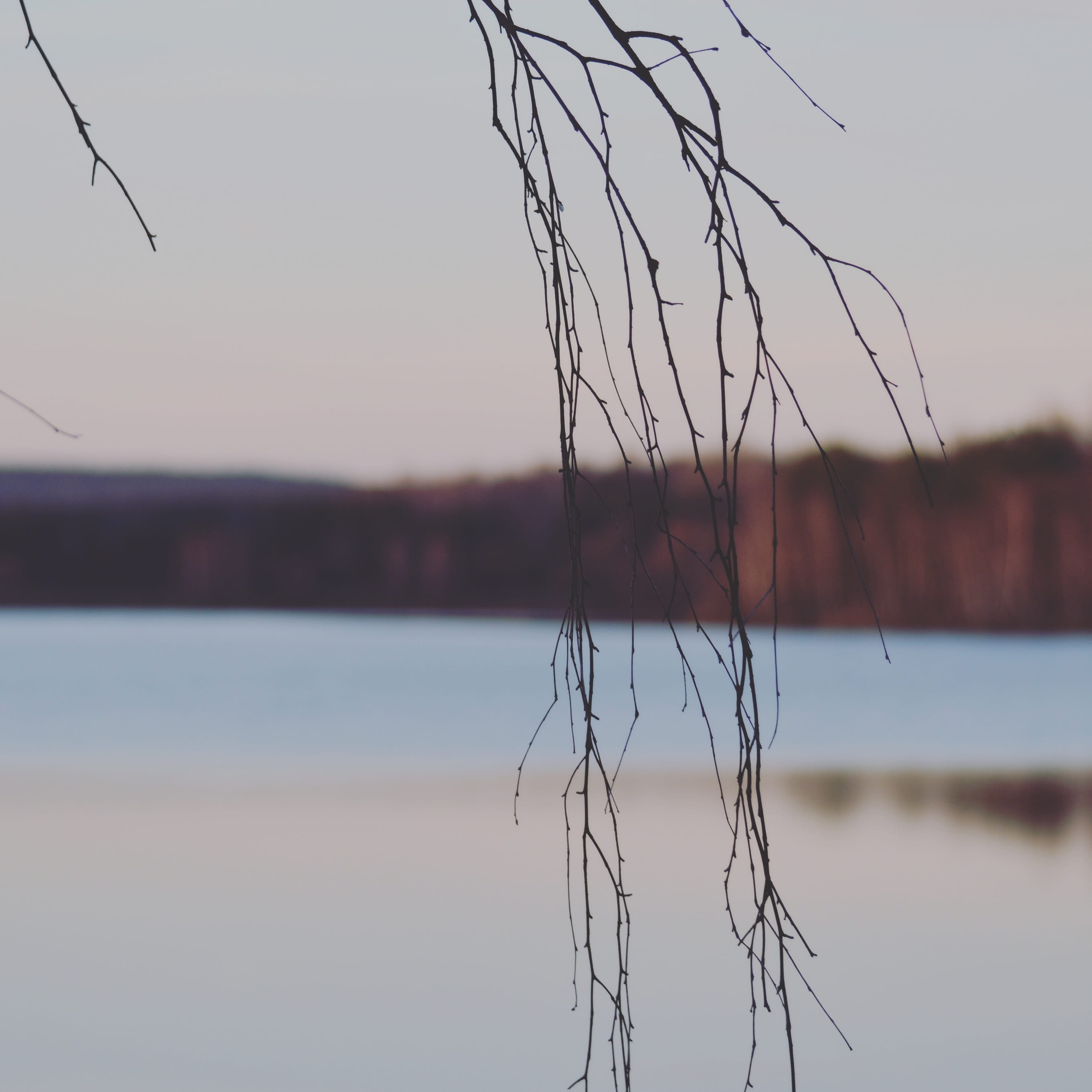tranquility, Bavaria, no people, sky, waterfront, beauty in nature, outdoors, Seascape, day, tree, water, plant, reflection, 2K, focus on foreground, Lake, HD Wallpaper