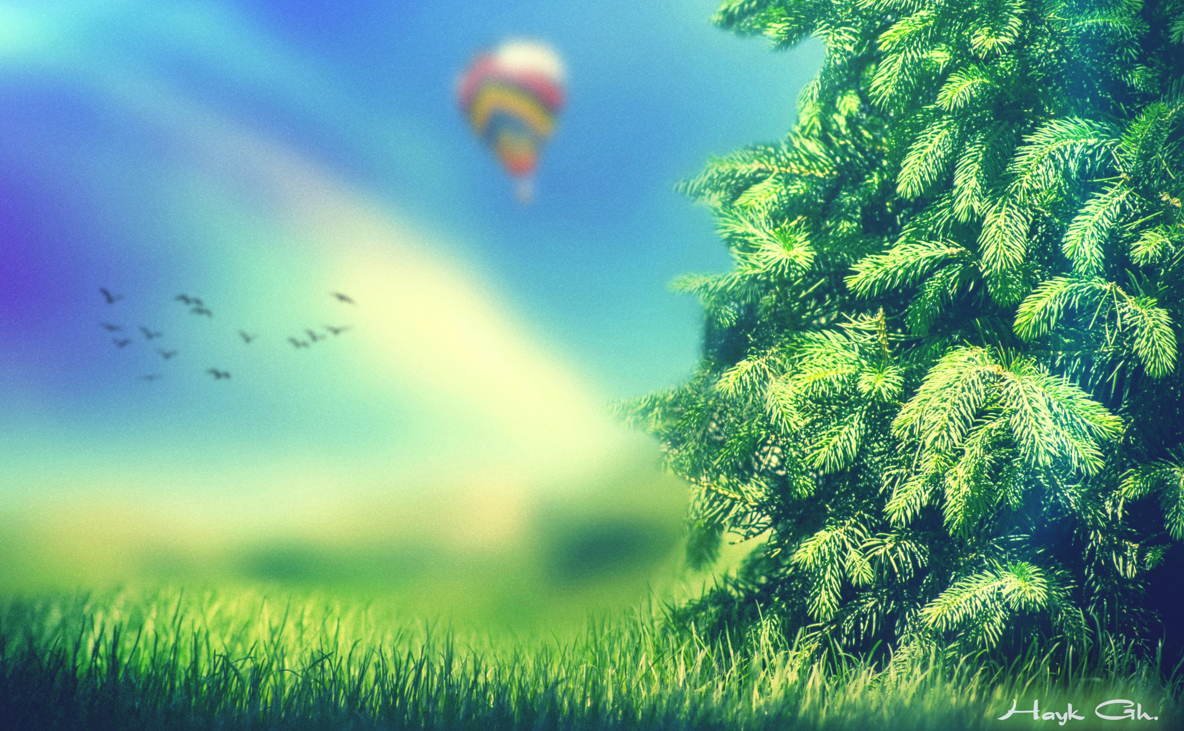 Aero, land, grass, environment, defocus, tranquility, blueshadows, outdoors, plant, Creative, flying, colors, colorsdof, 4K, sony, focus on foreground, HD Wallpaper