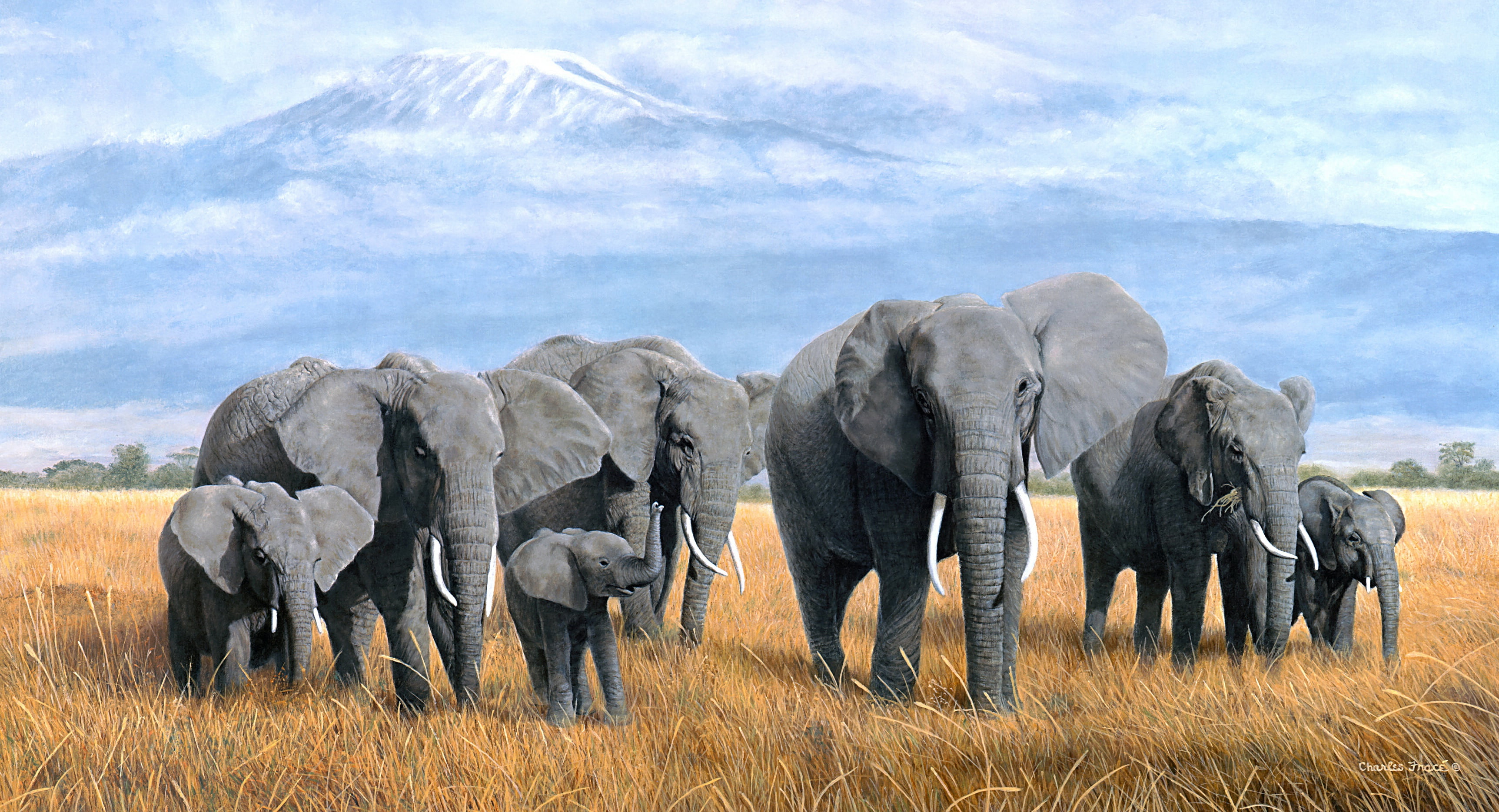 Baby Animal, Wildlife, Elephant, Artistic, Painting, 2K, Animal, HD Wallpaper