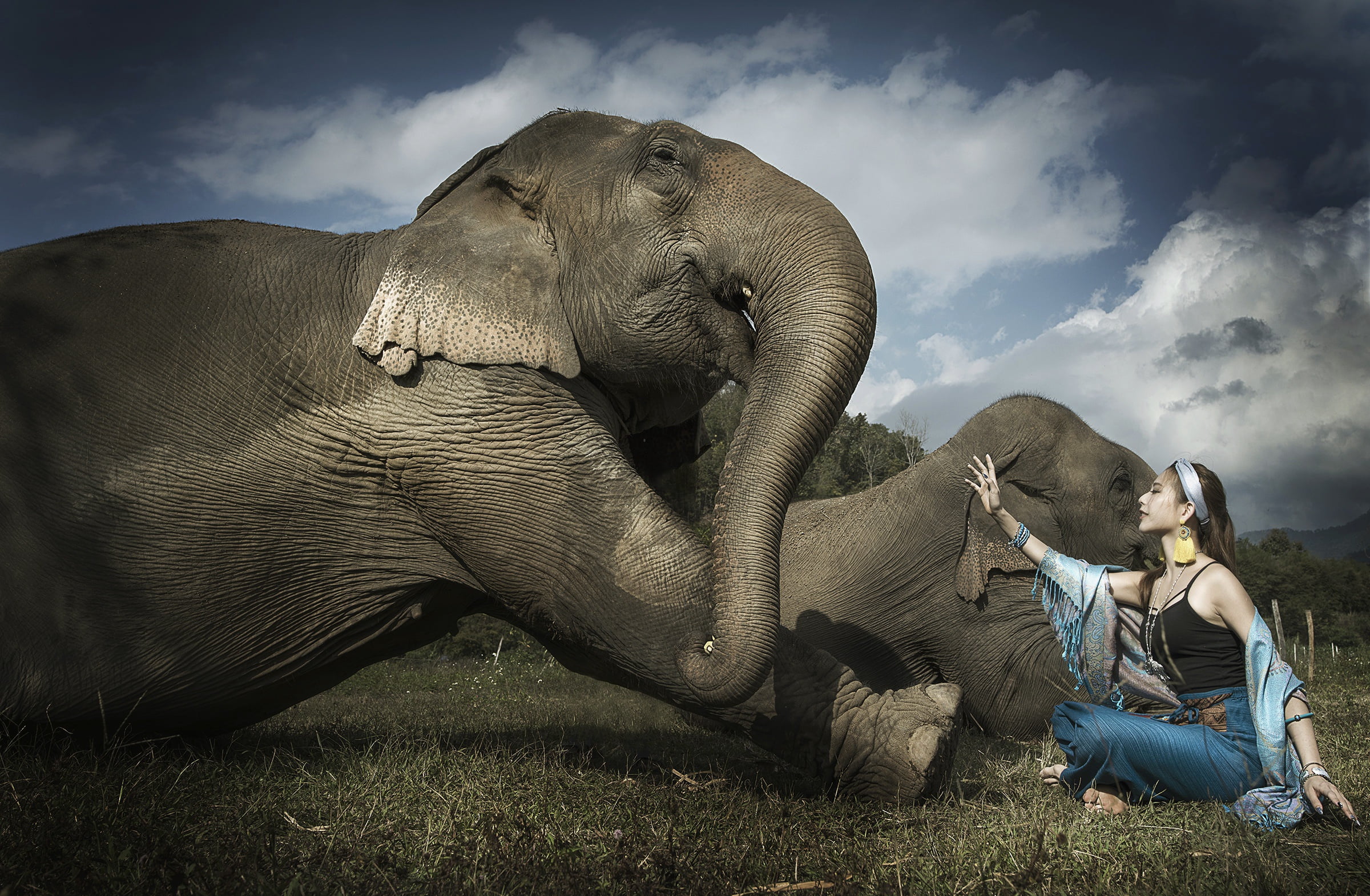 model, Asian, women, animals, 1080P, elephant, HD Wallpaper