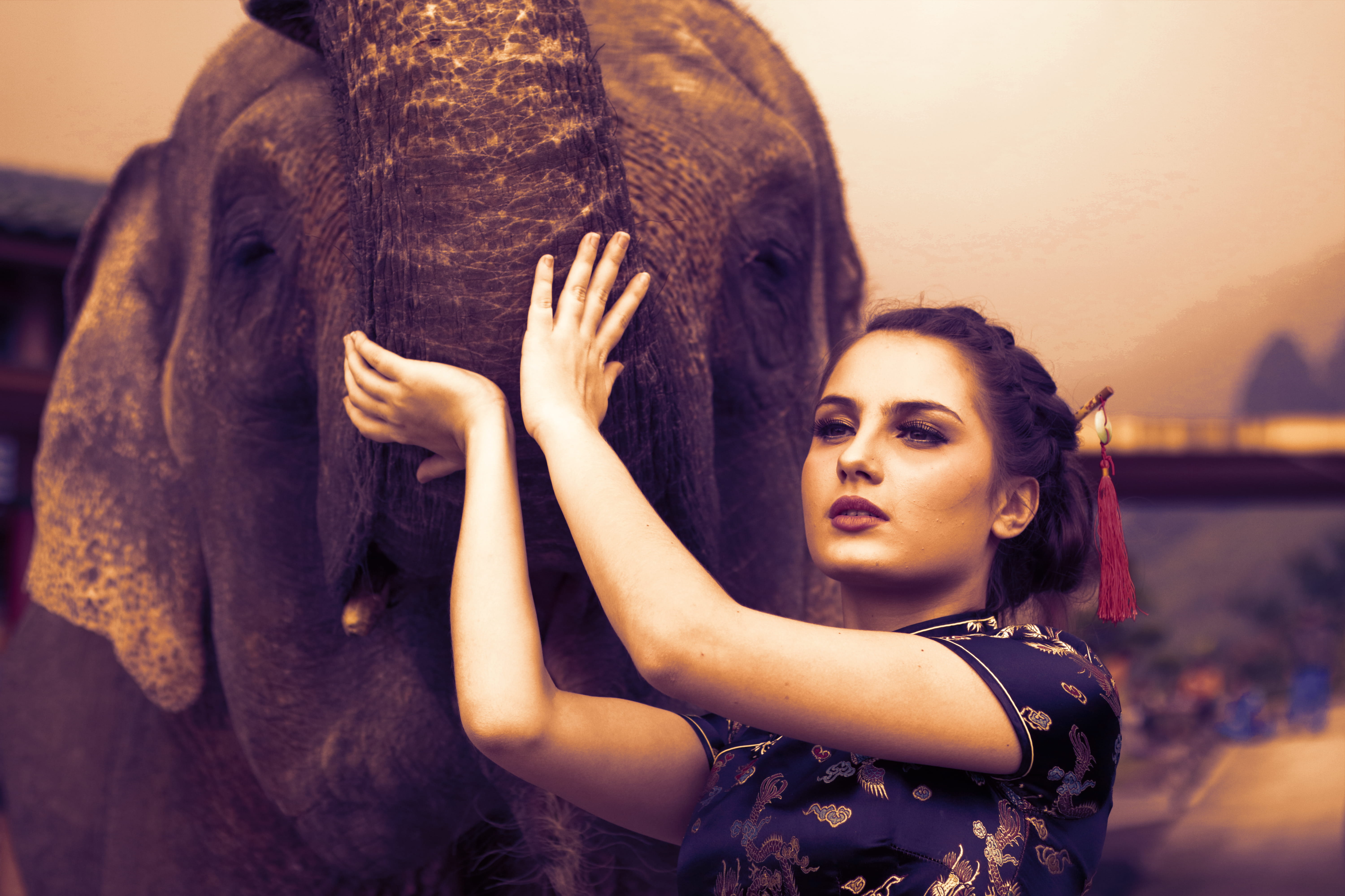 headshot, photography, model, woman, fashion, women, travel, animal wildlife, beautiful, beautiful woman, indian elephant, body part, one person, girl, HD Wallpaper
