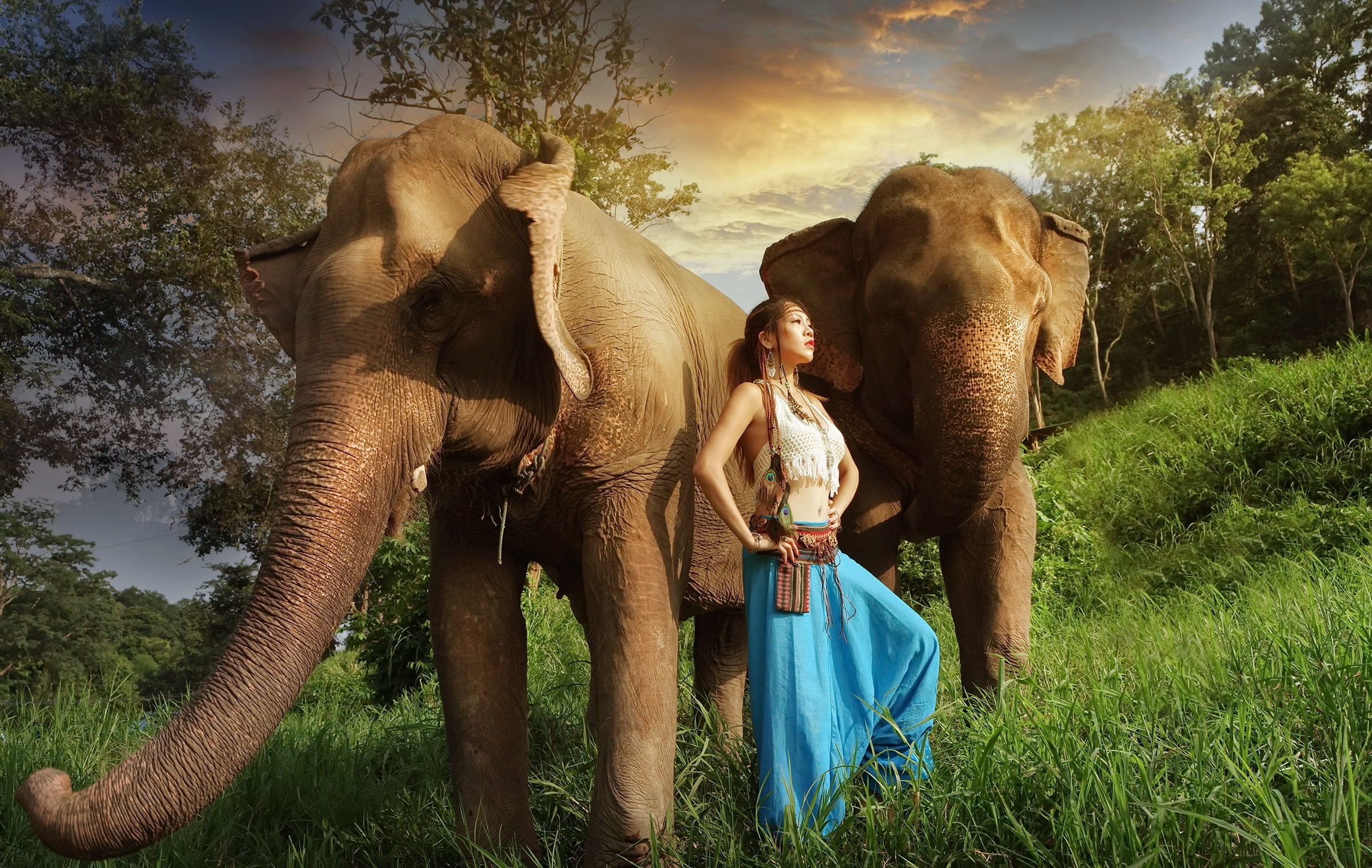 girl, elephants, 1080P, Asian, HD Wallpaper
